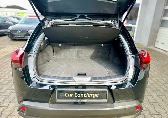 LEXUS UX 250h Business Edition