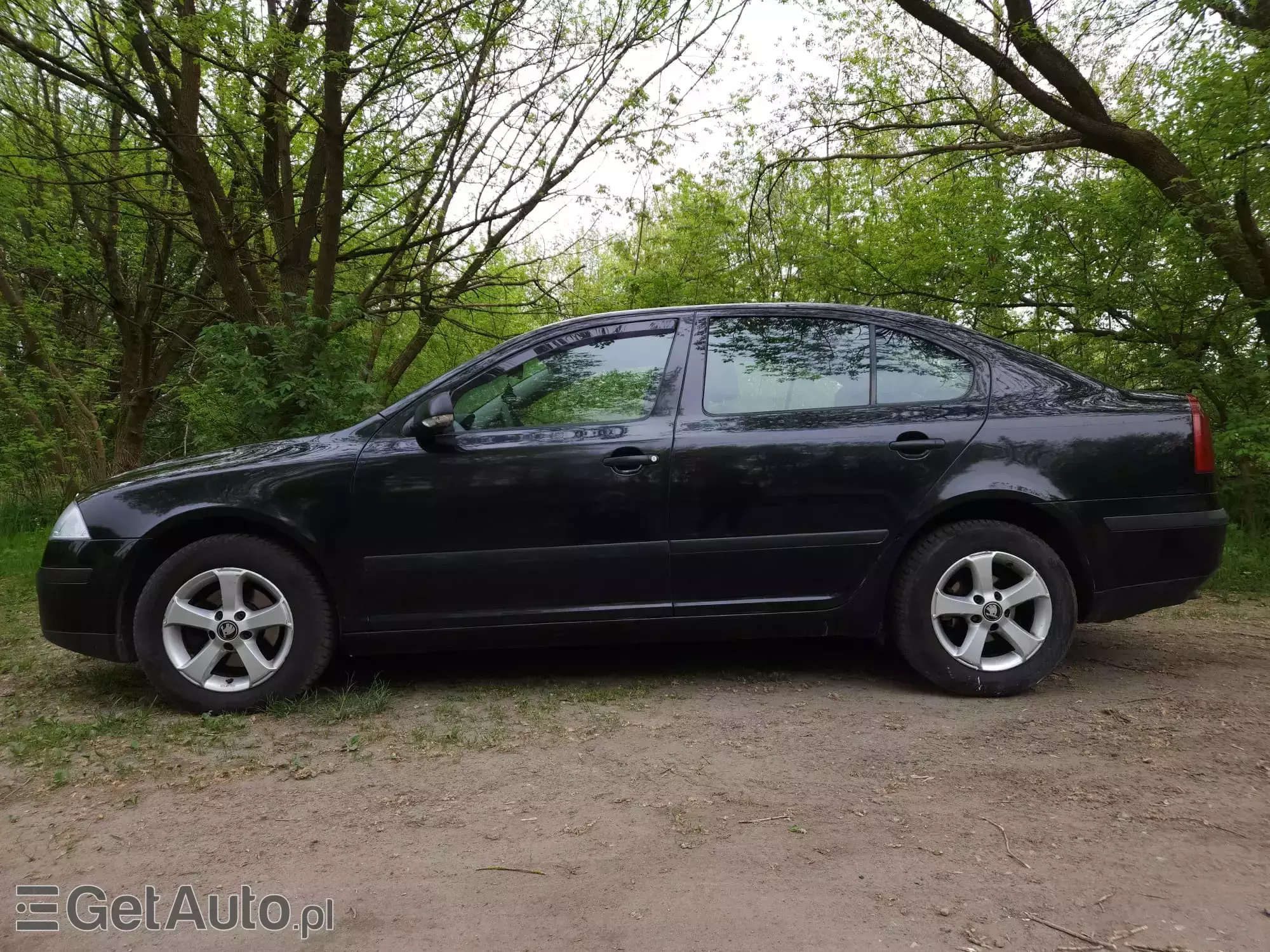 SKODA Octavia Ambiente