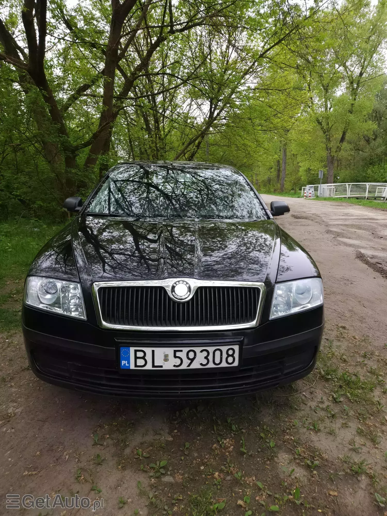 SKODA Octavia Ambiente