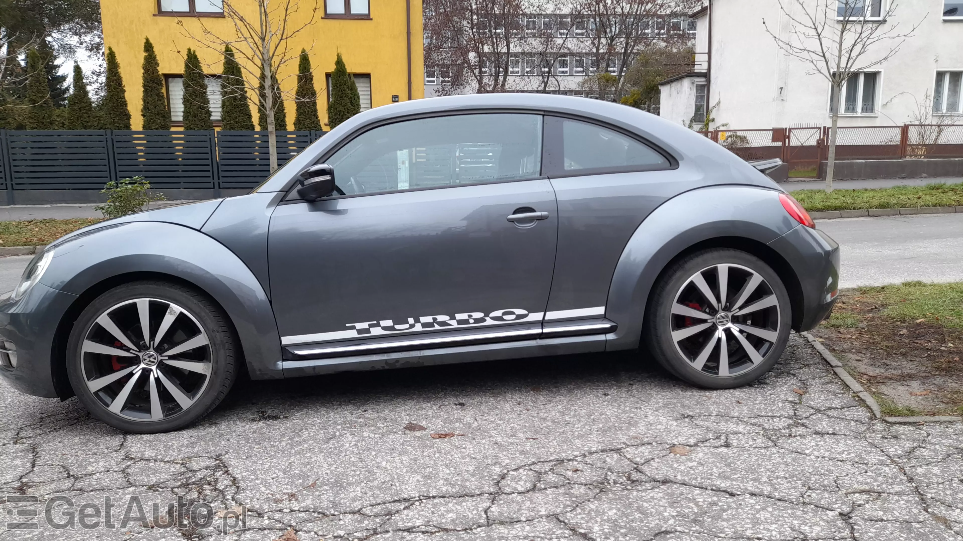 VOLKSWAGEN Beetle/New Beetle/Garbus Beetle