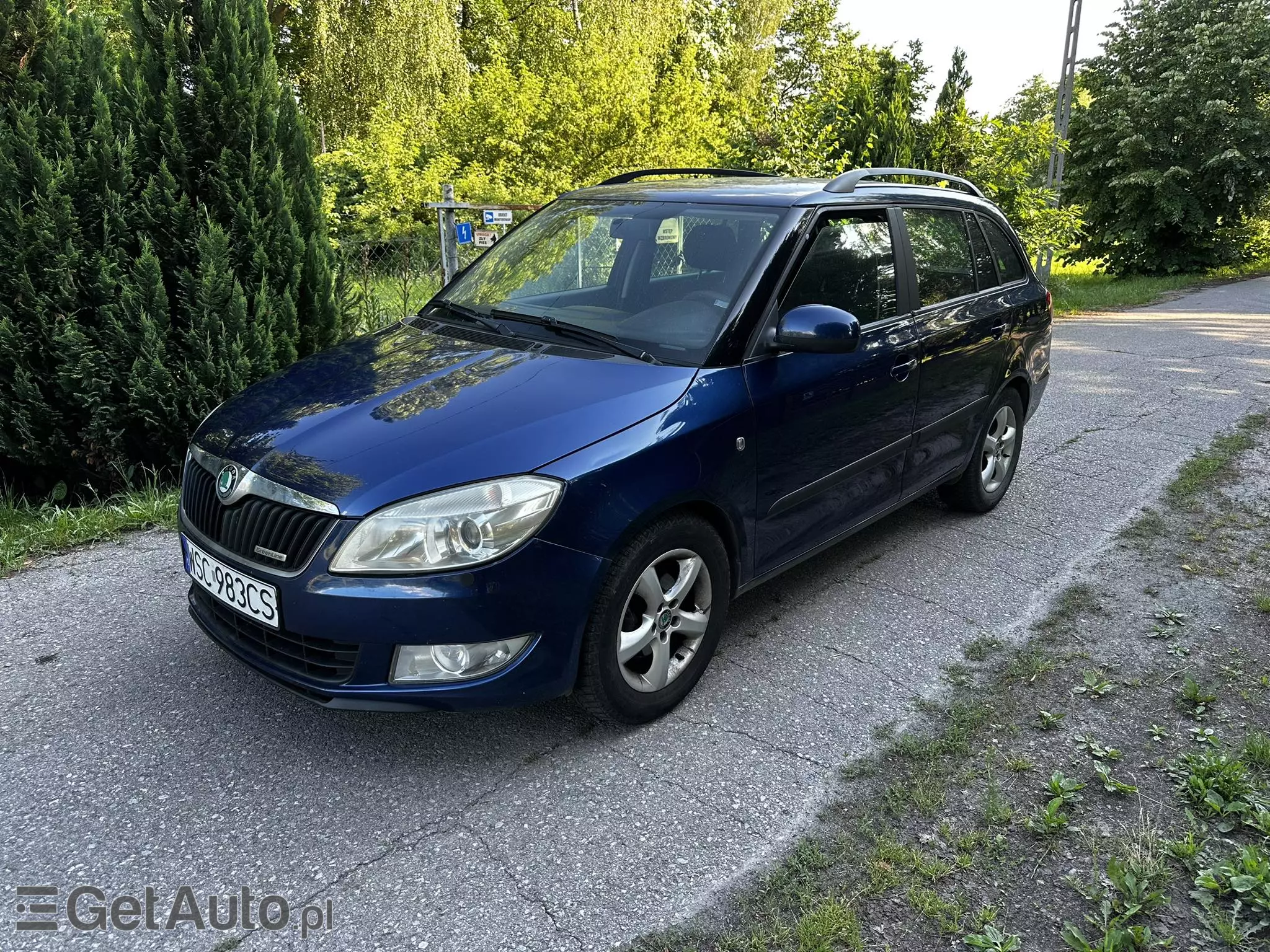 SKODA Fabia Greenline