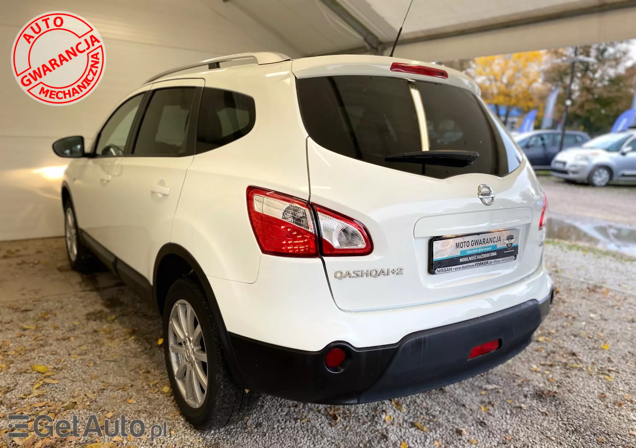 NISSAN Qashqai+2 1.6 dCi 4x4 Tekna 