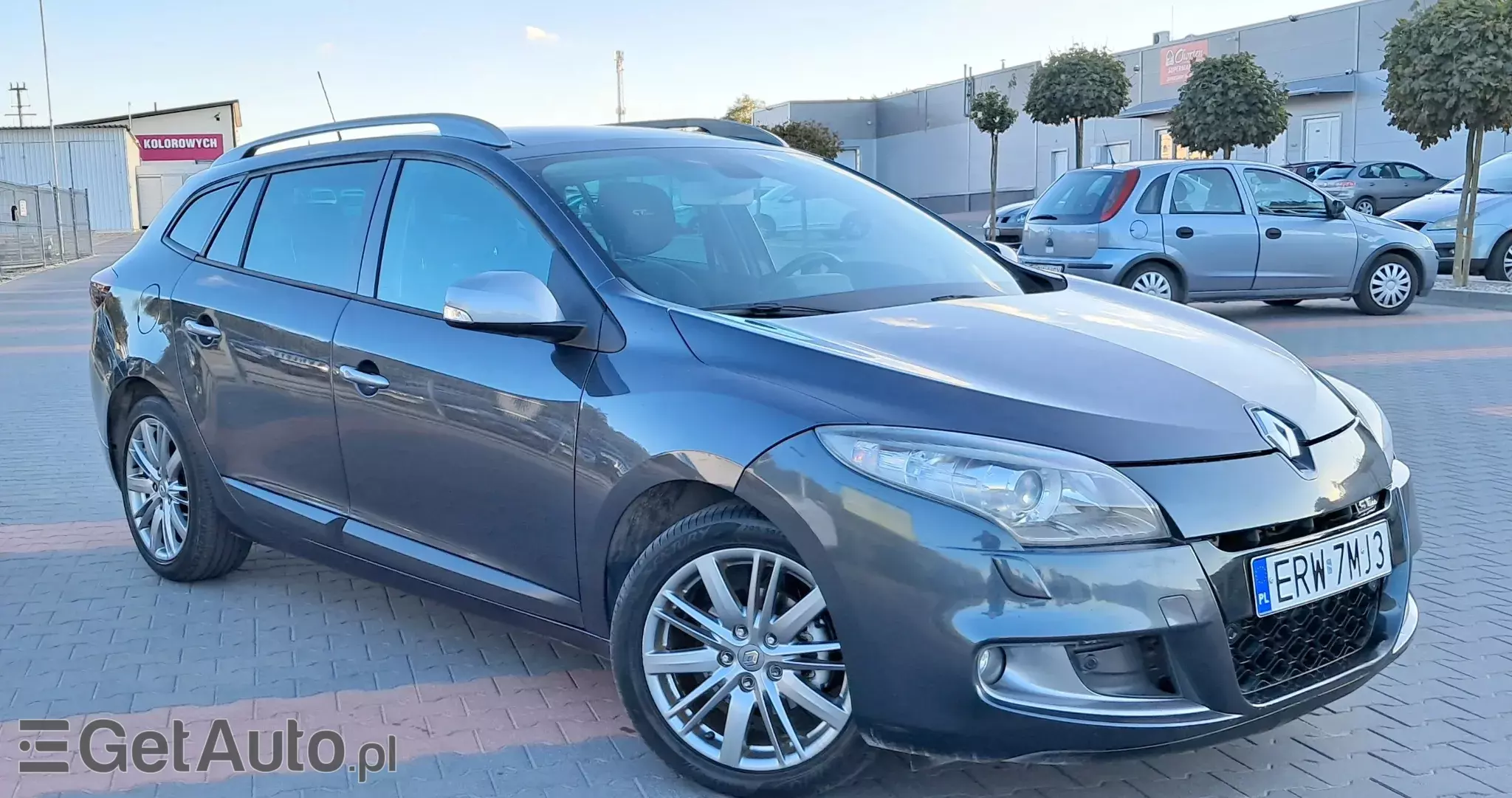 RENAULT Megane Dynamique 110