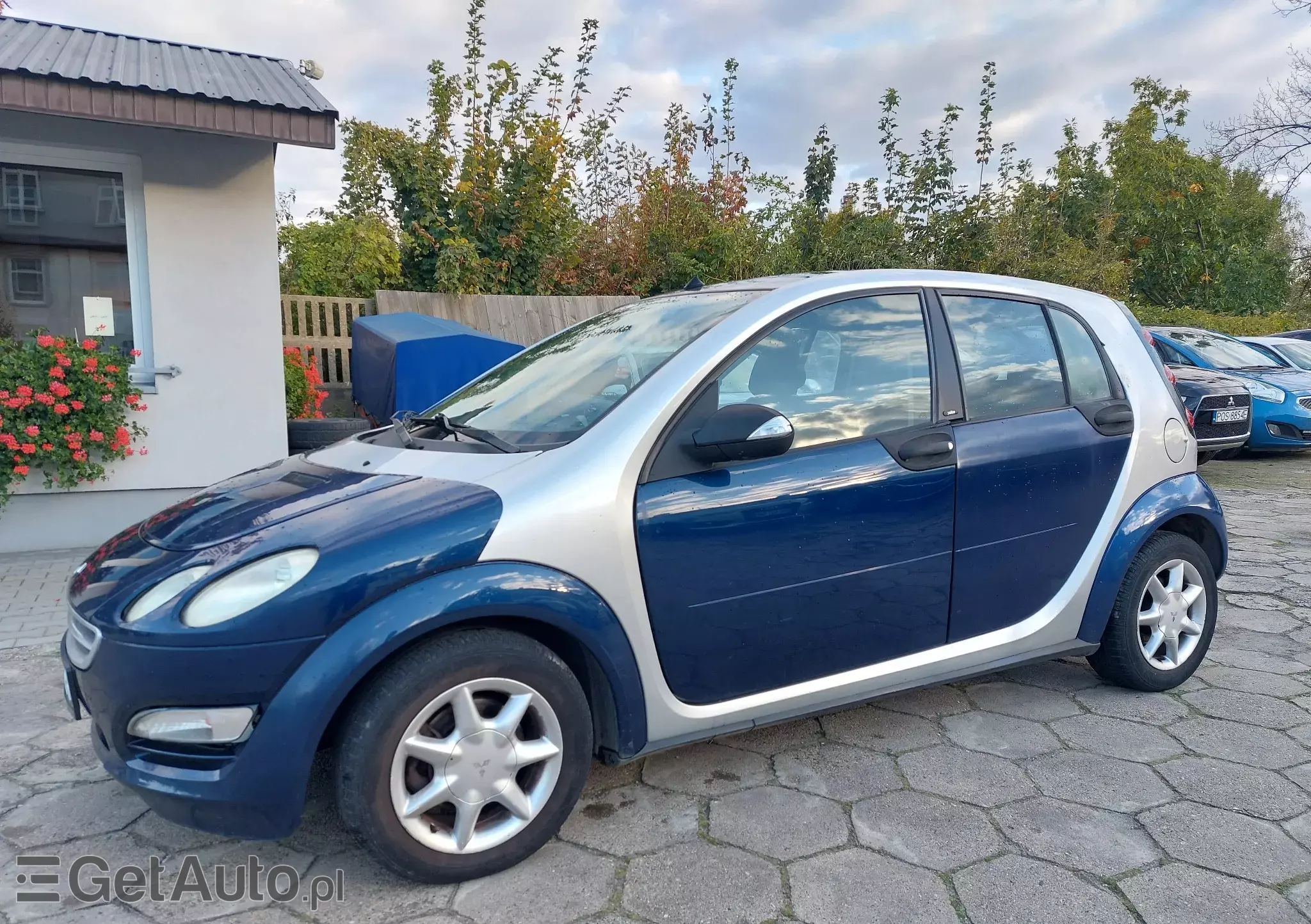 SMART Forfour Passion