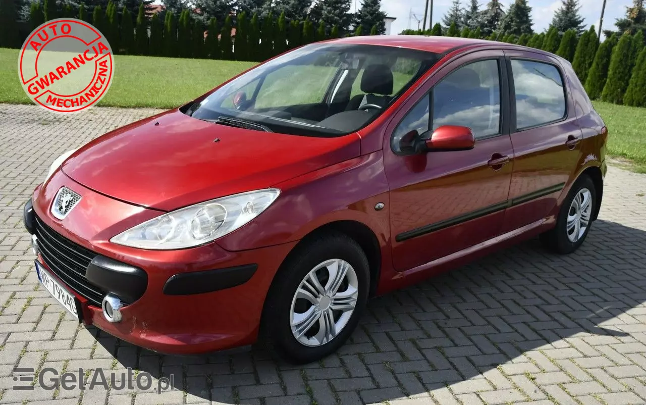 PEUGEOT 307 