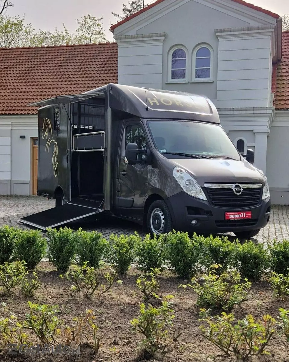 OPEL Movano Koniowóz 