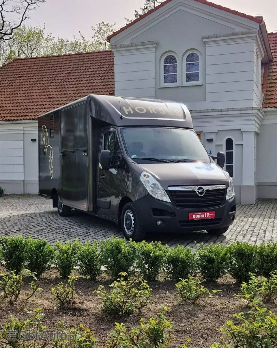 OPEL Movano Koniowóz 