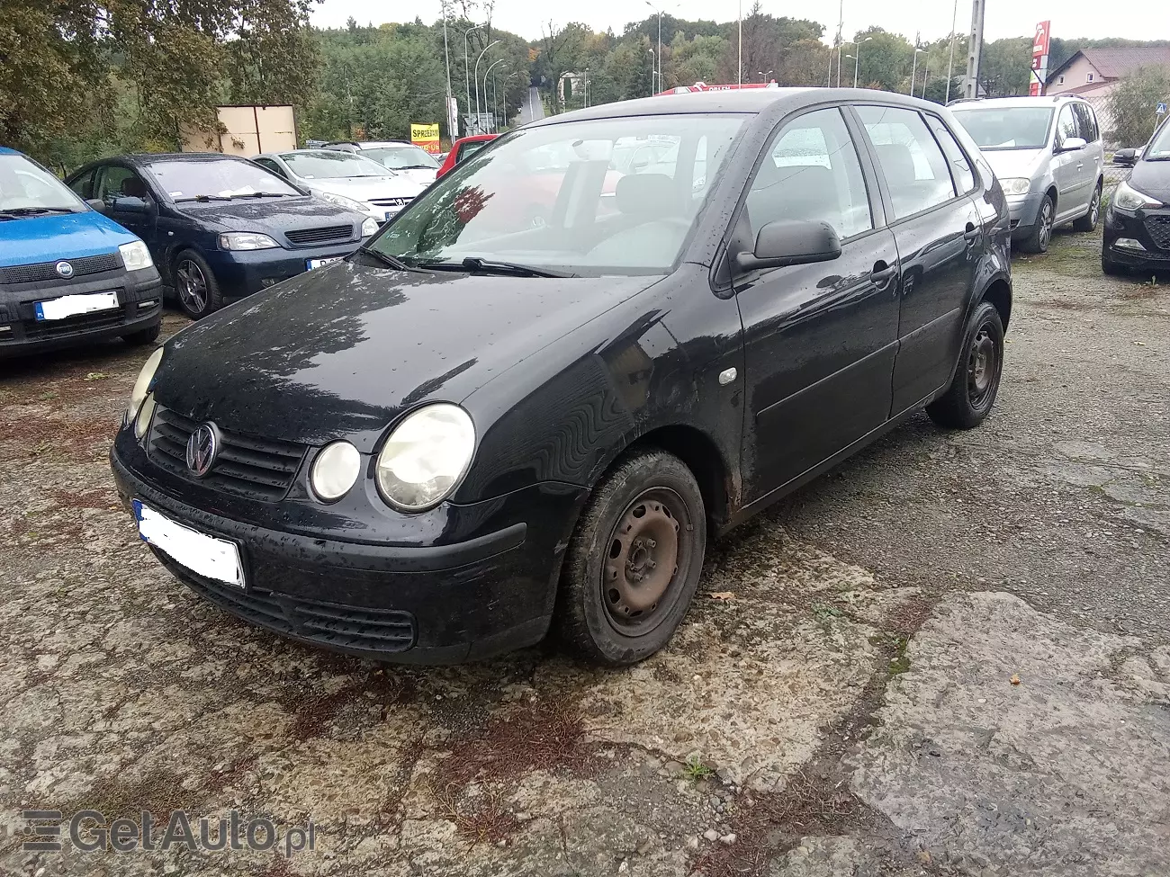 VOLKSWAGEN Polo Comfortline