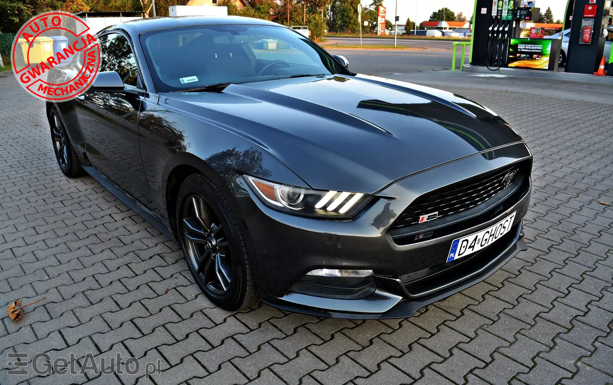 FORD Mustang 