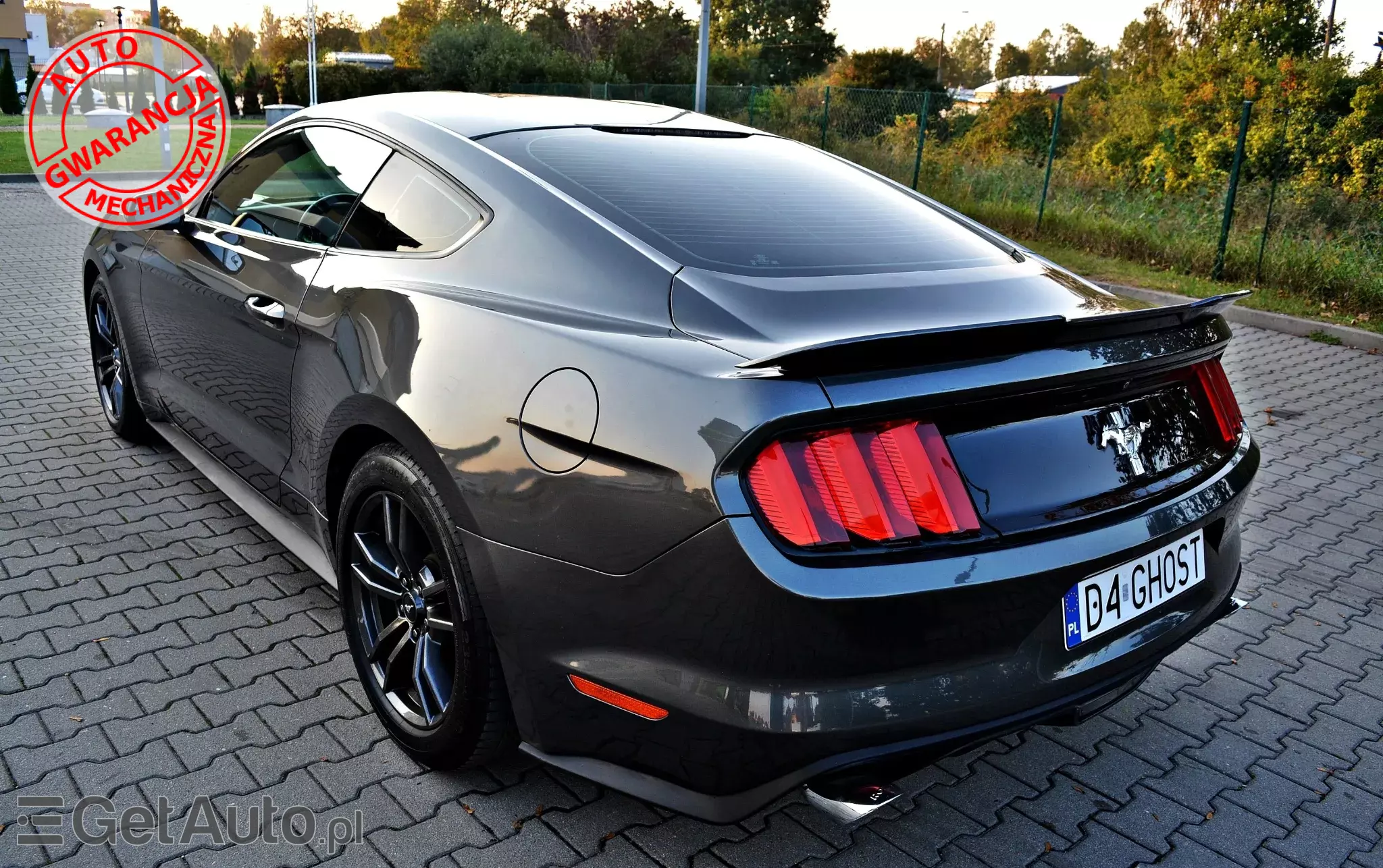 FORD Mustang 