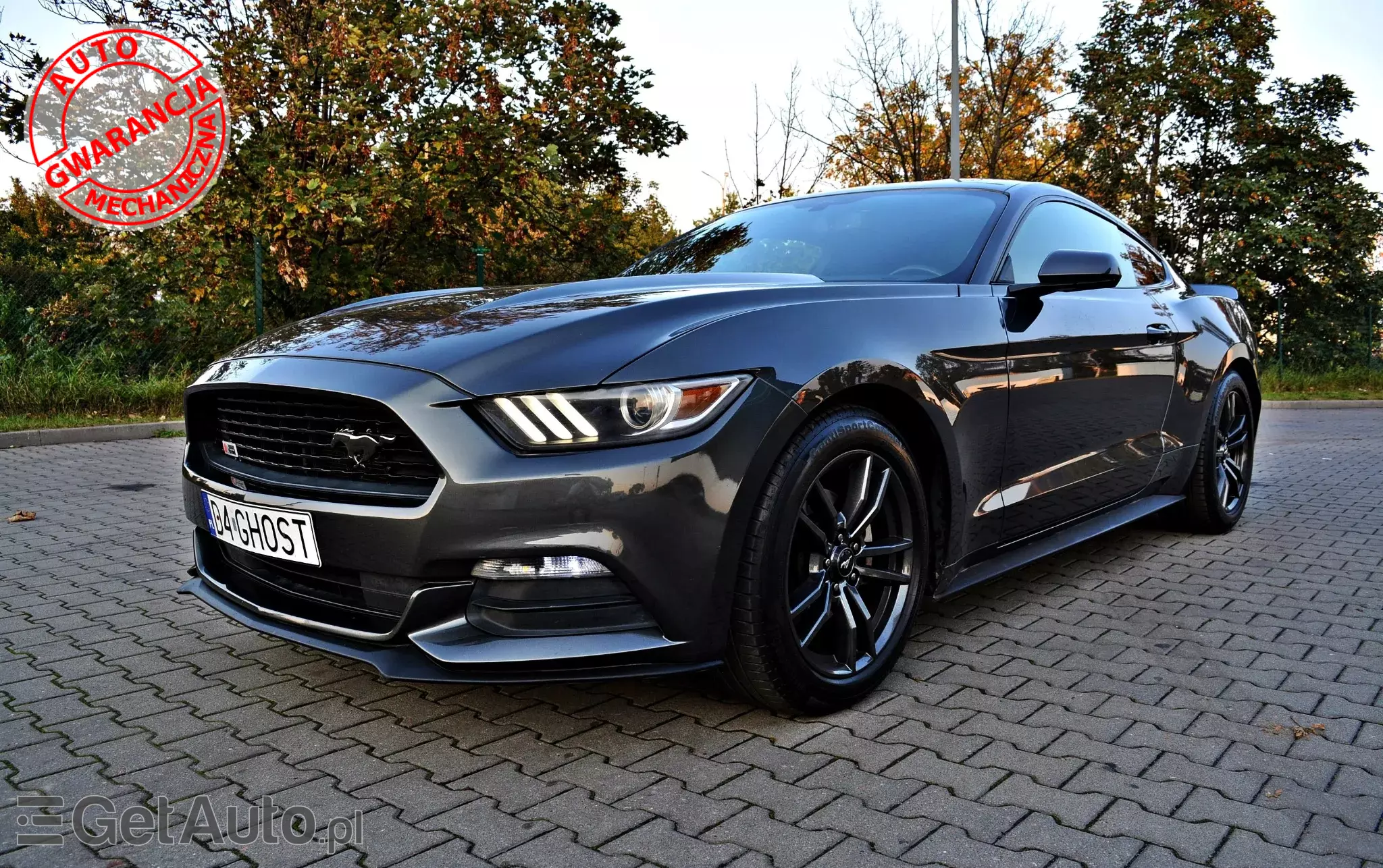 FORD Mustang 