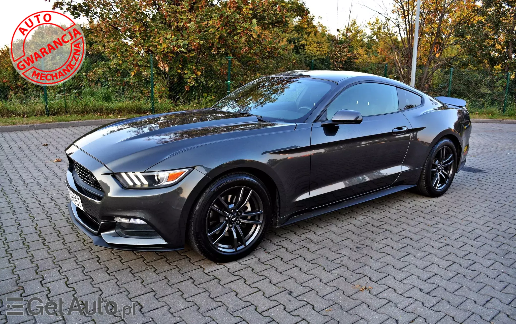 FORD Mustang 