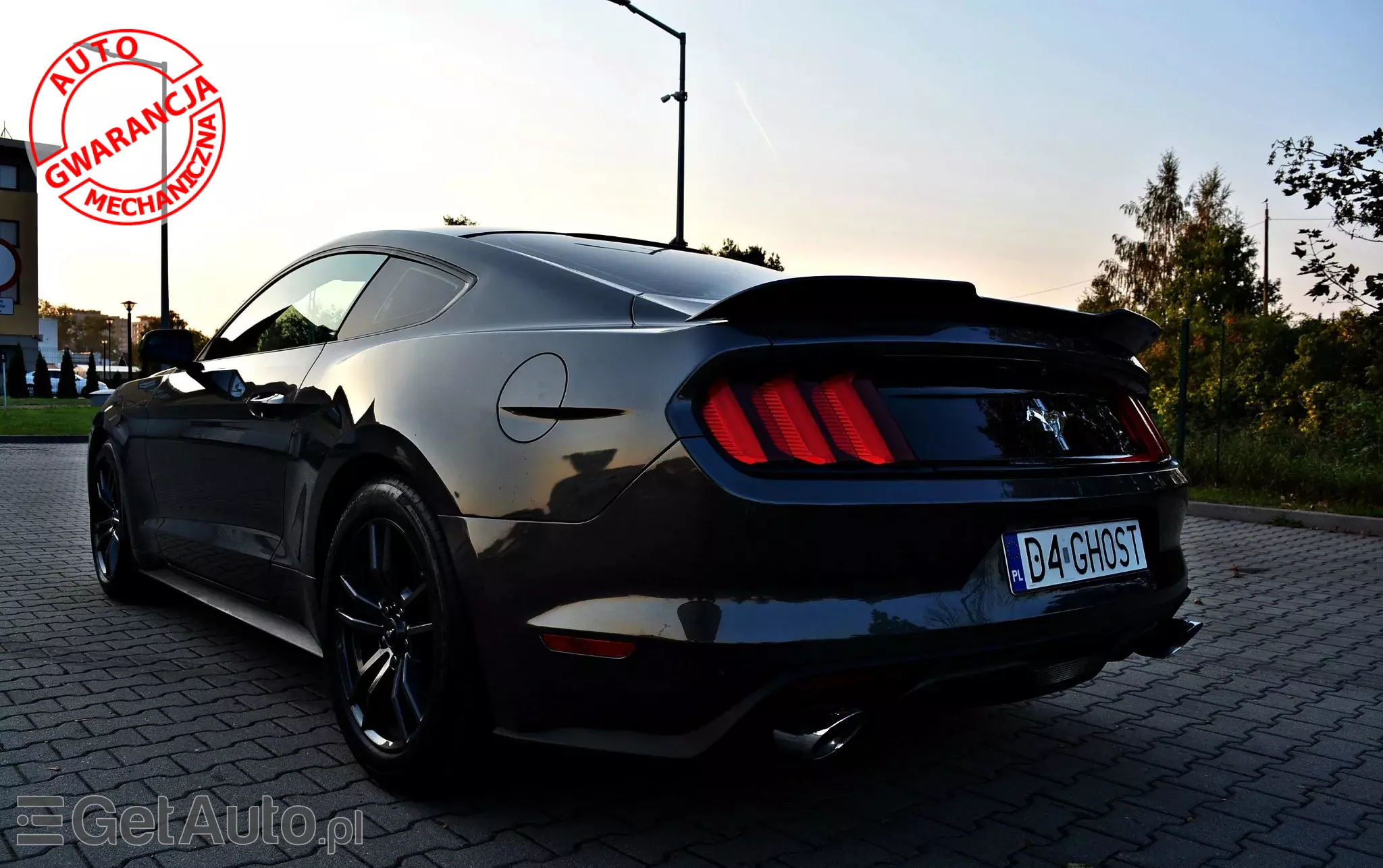 FORD Mustang 