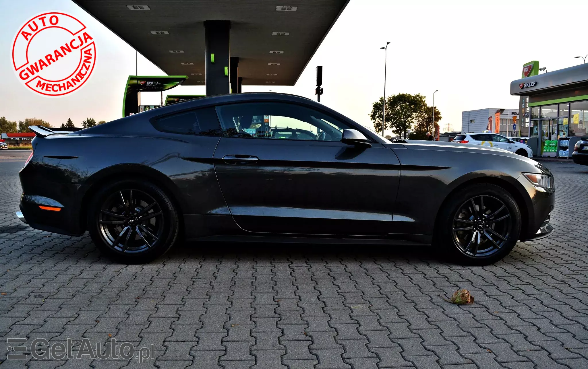 FORD Mustang 