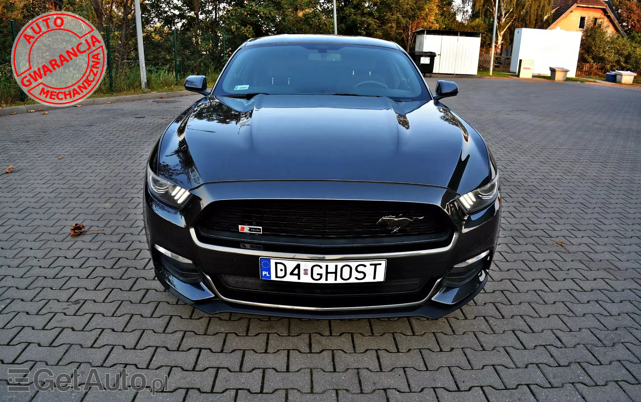 FORD Mustang 