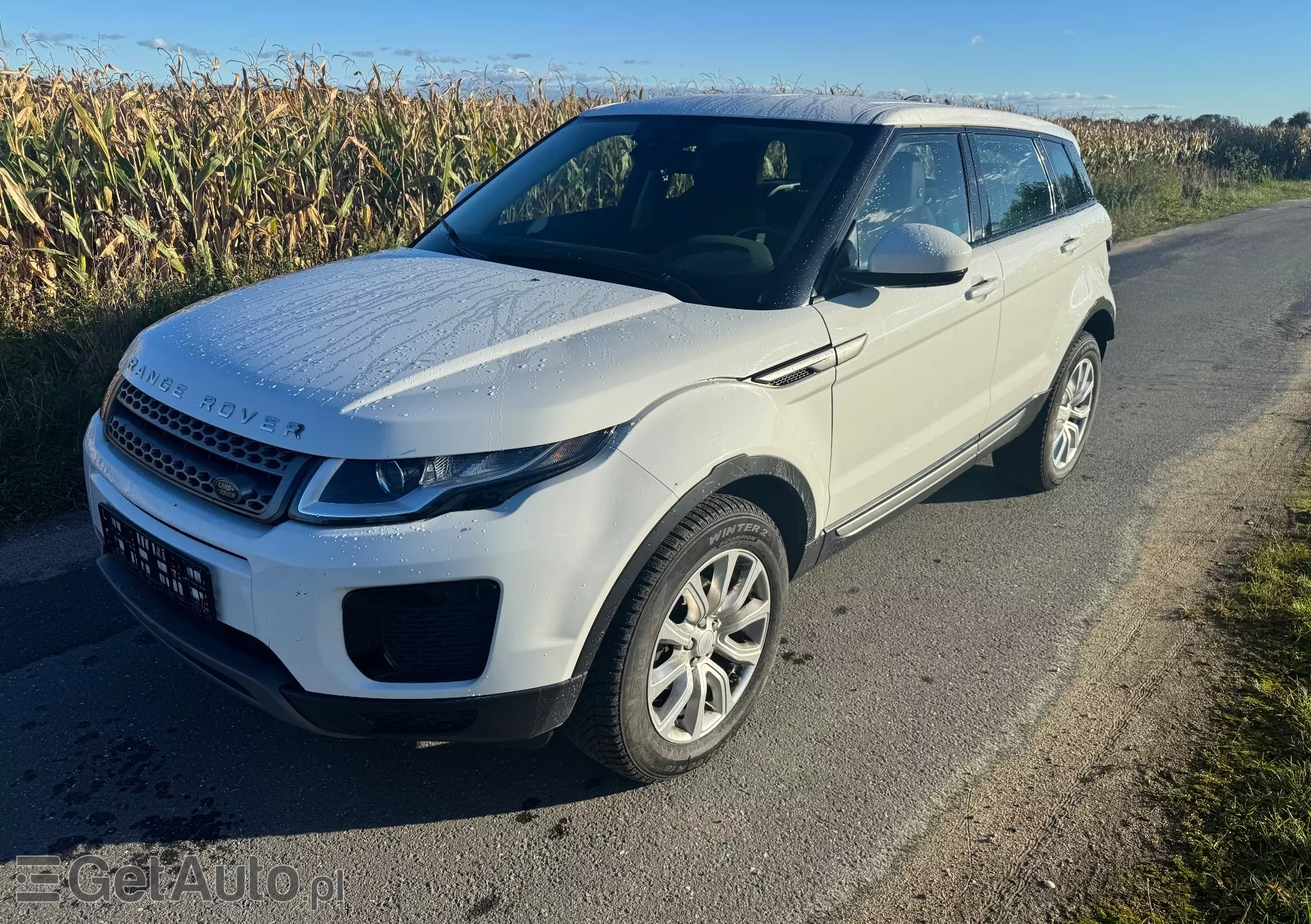 LAND ROVER Range Rover Evoque Pure