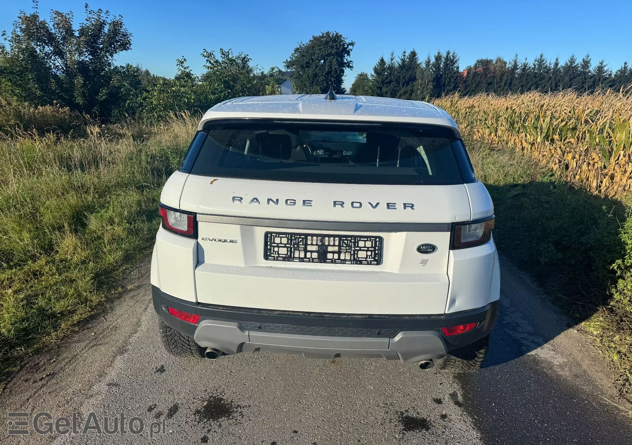 LAND ROVER Range Rover Evoque Pure