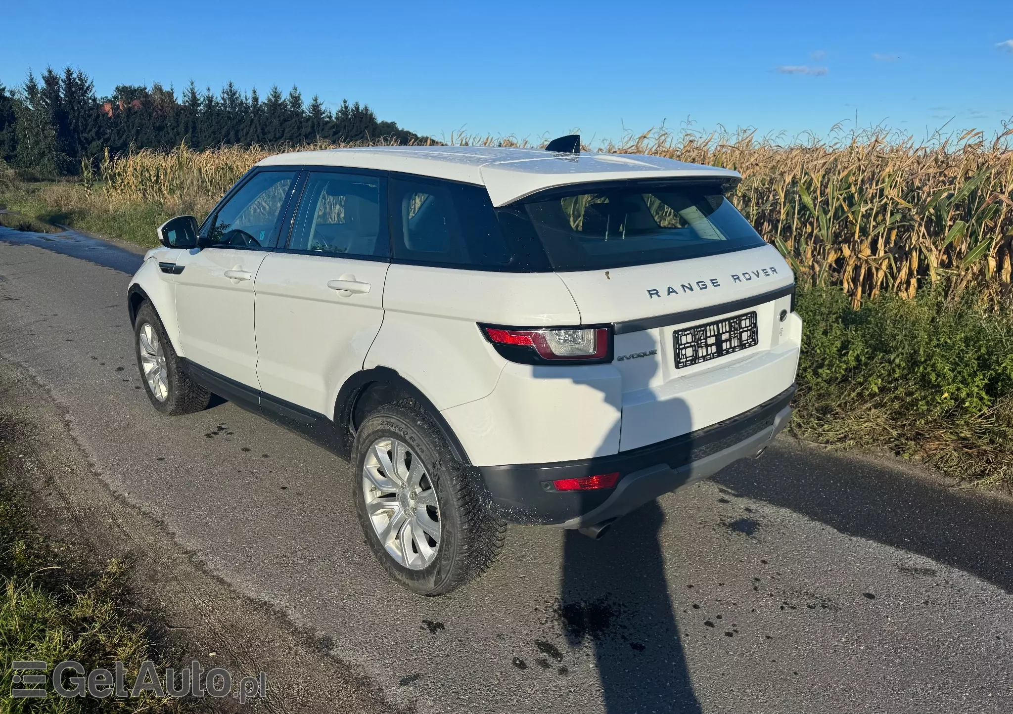 LAND ROVER Range Rover Evoque Pure