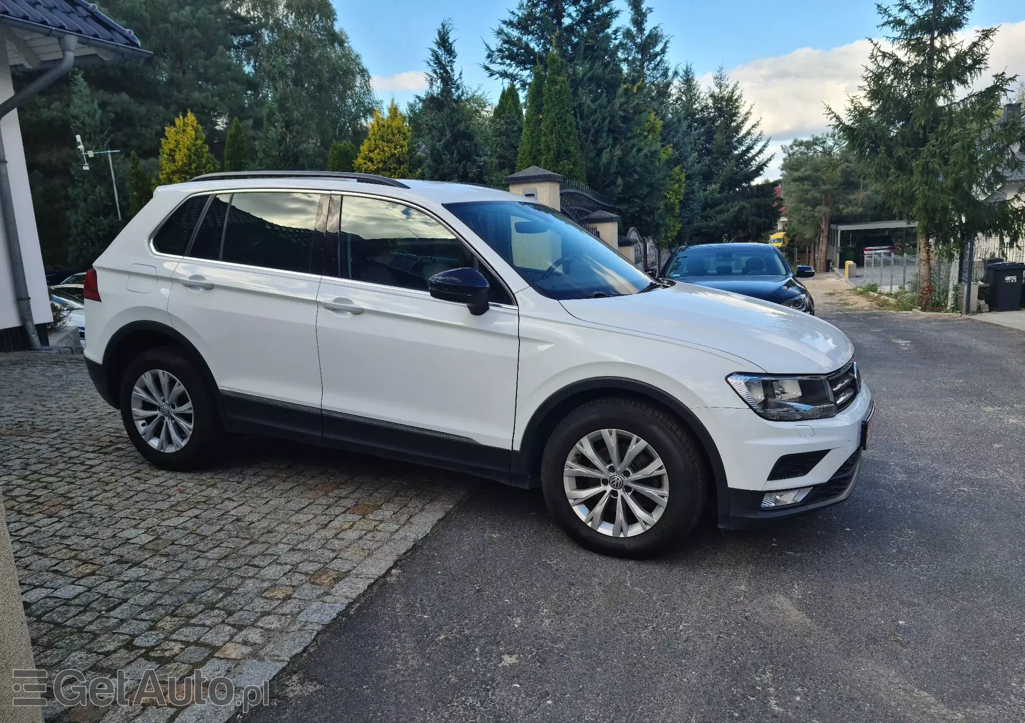 VOLKSWAGEN Tiguan Comfortline SCR 4 Mot DSG