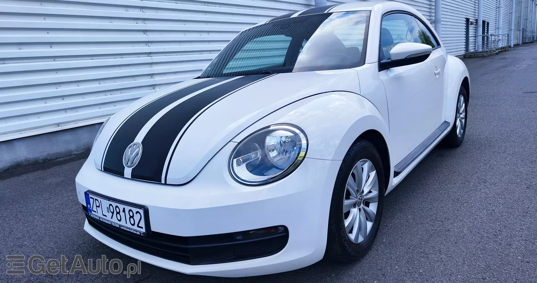 VOLKSWAGEN Beetle/New Beetle/Garbus 