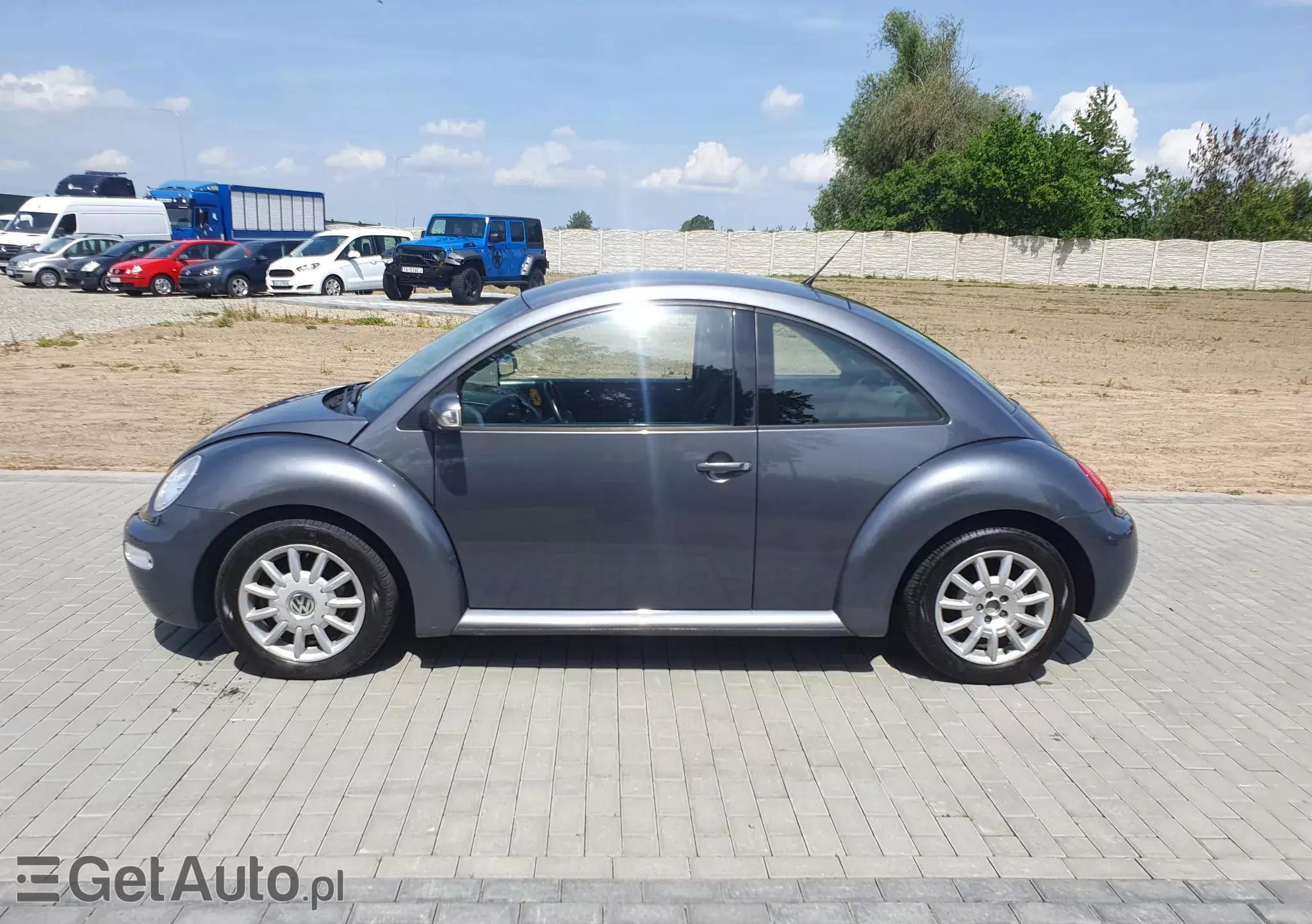 VOLKSWAGEN The Beetle/New Beetle 