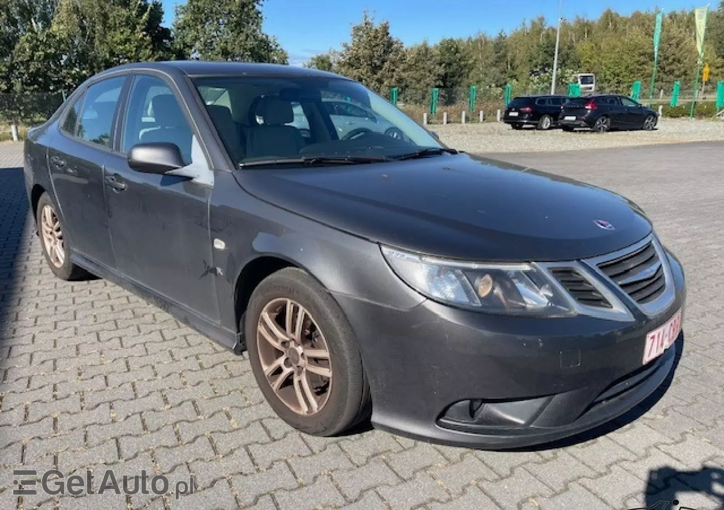 SAAB 9-3 1.9 TiD DPF Vector