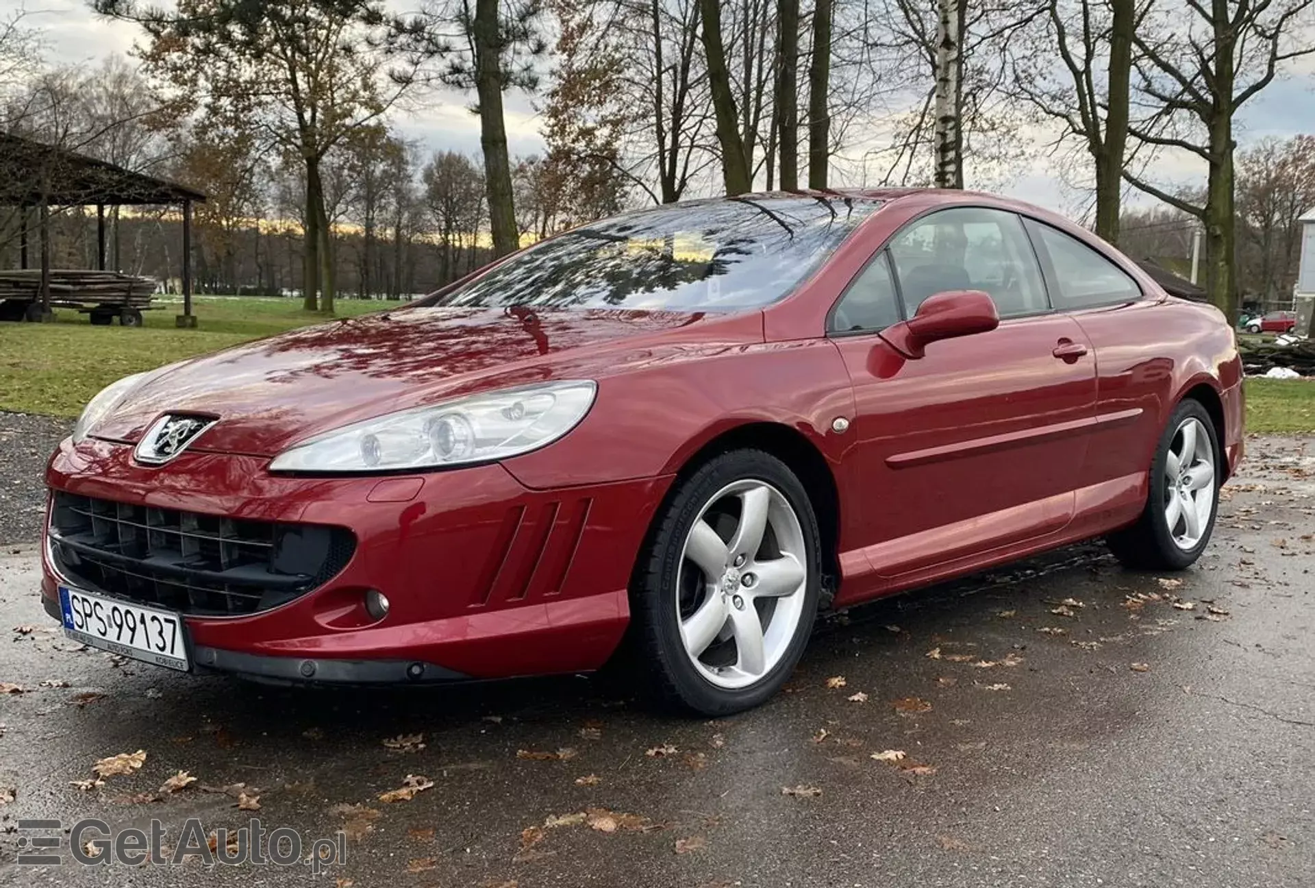 PEUGEOT 407 