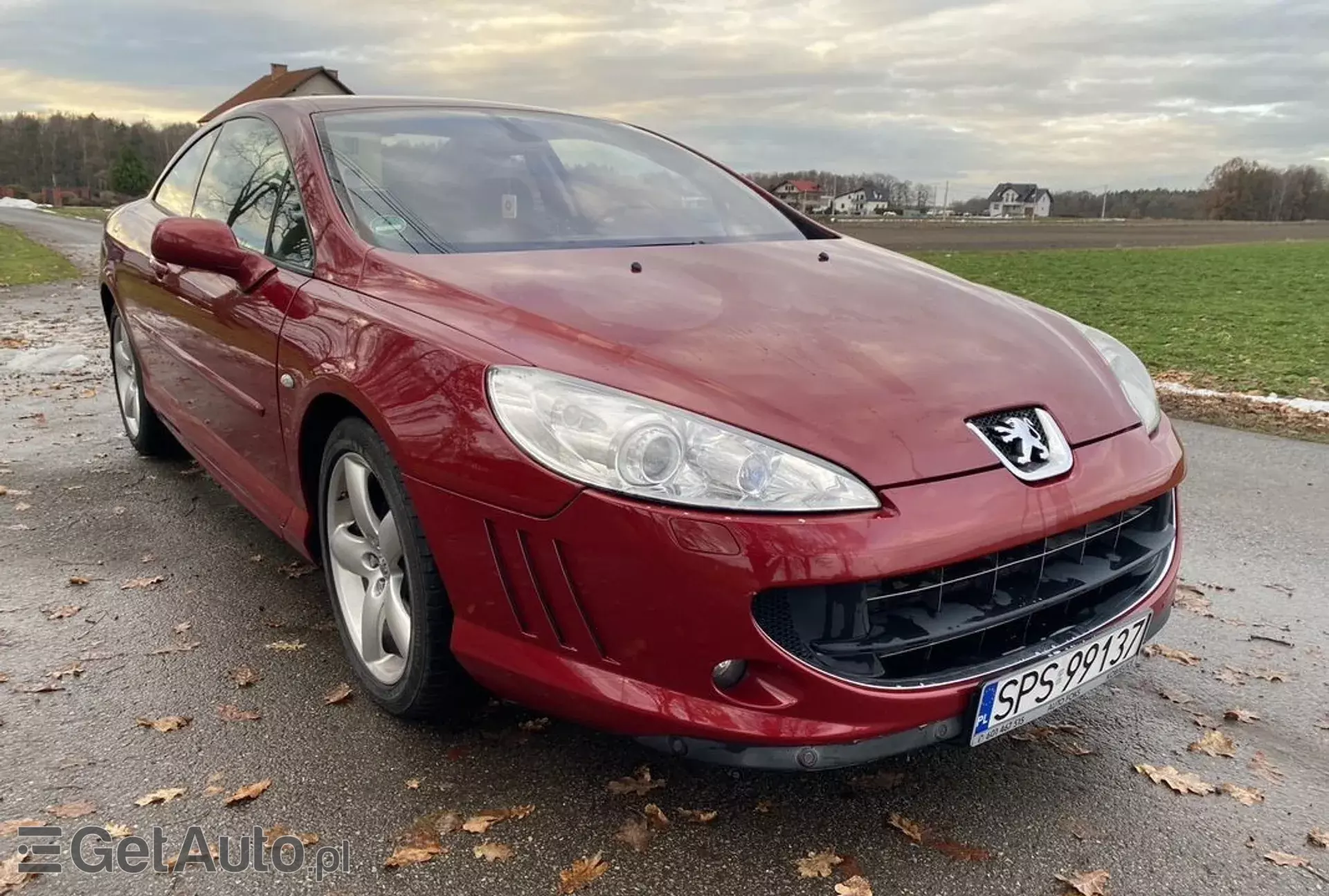 PEUGEOT 407 