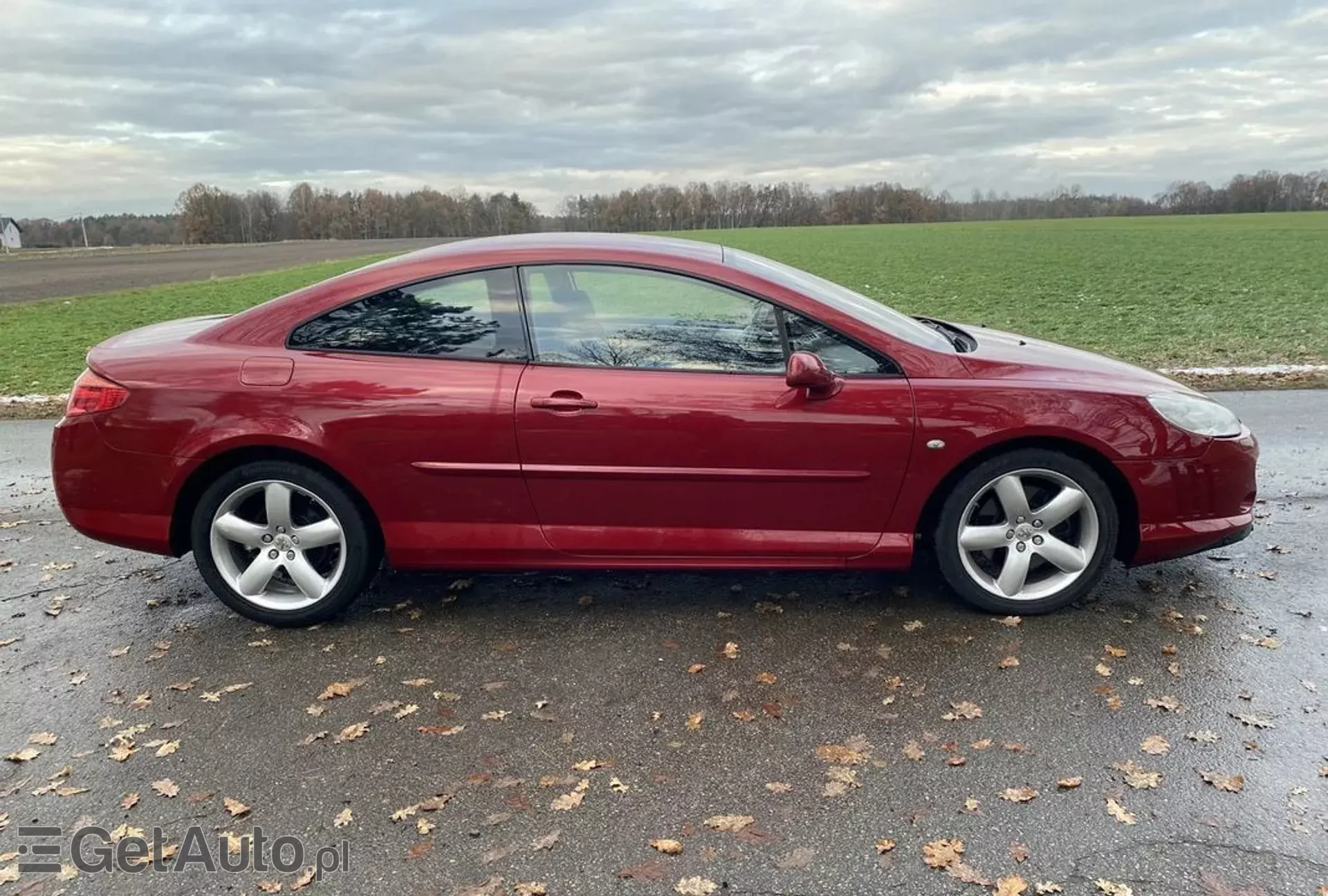 PEUGEOT 407 