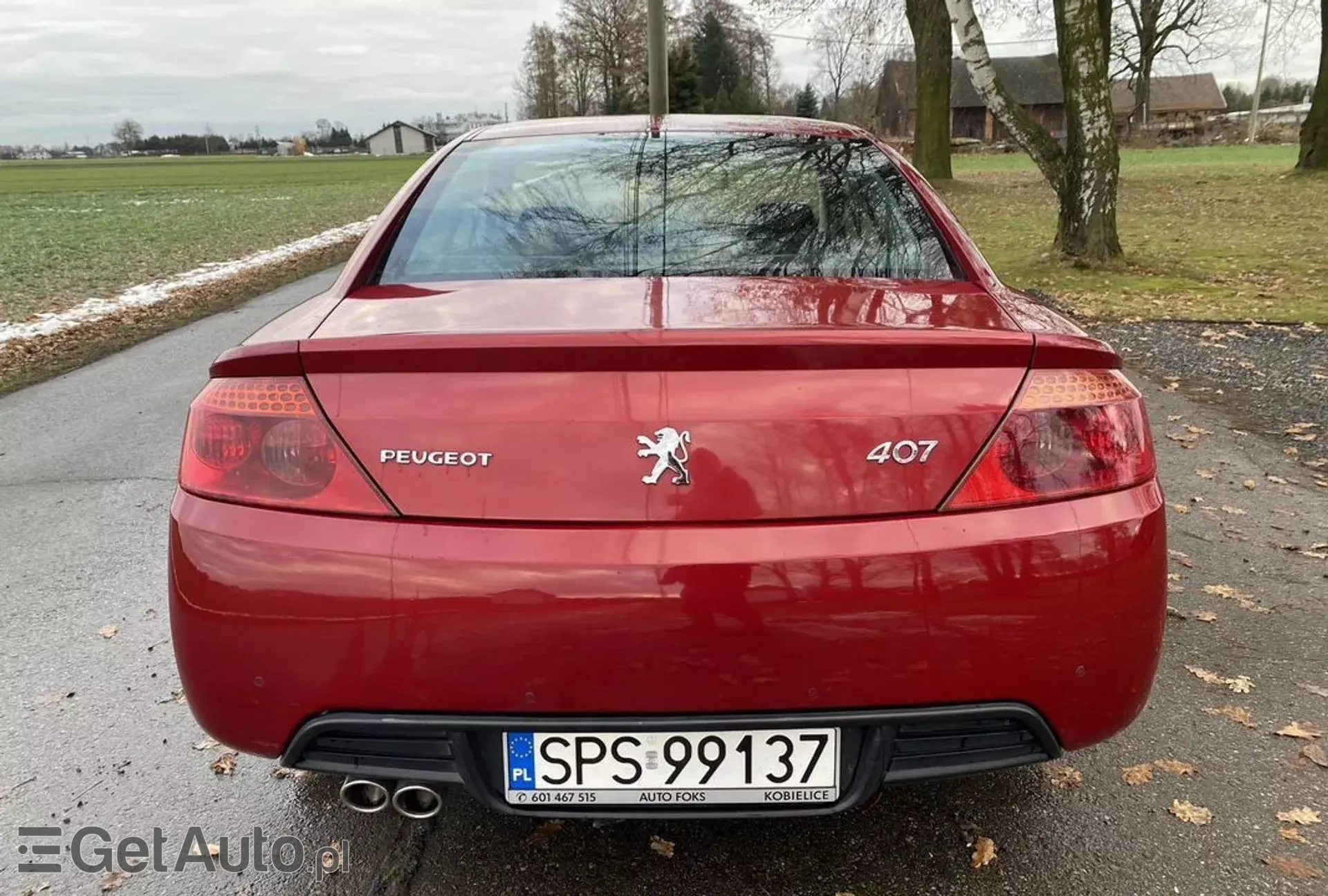 PEUGEOT 407 