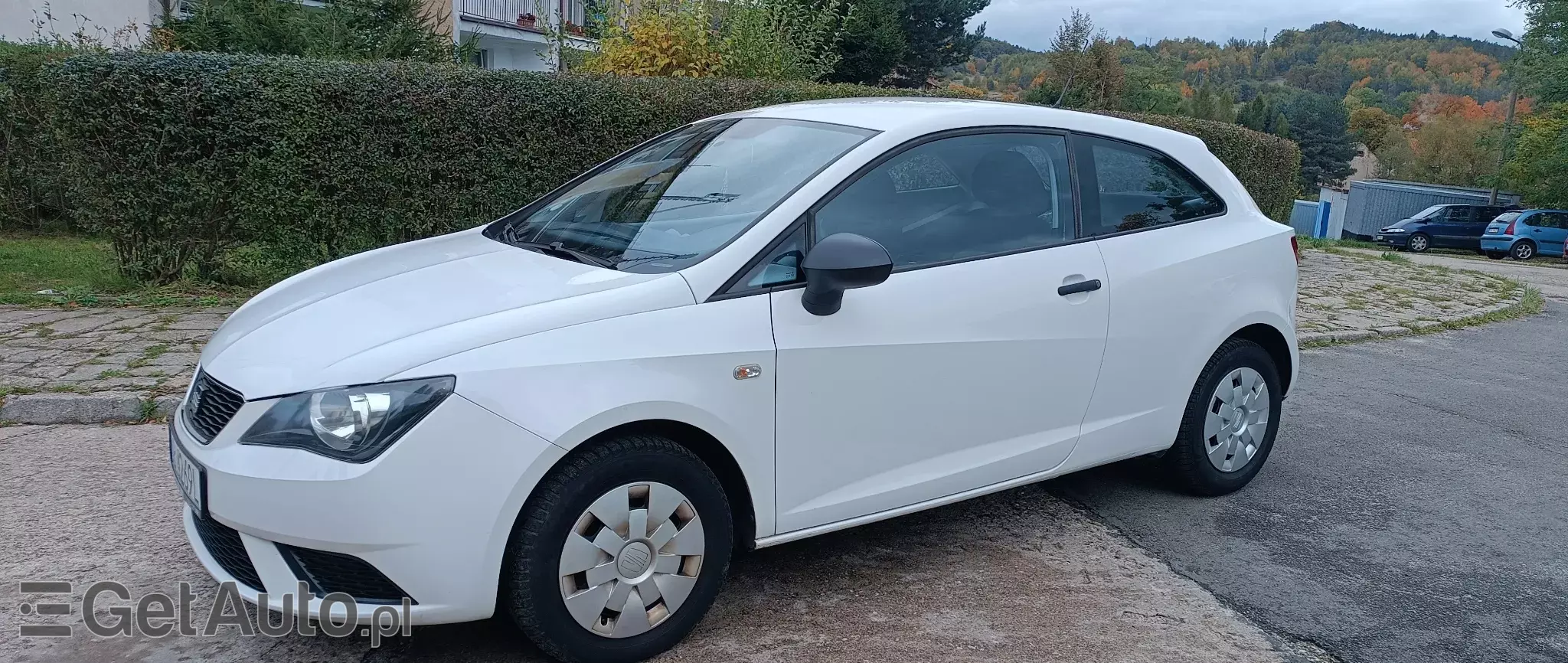 SEAT Ibiza Reference