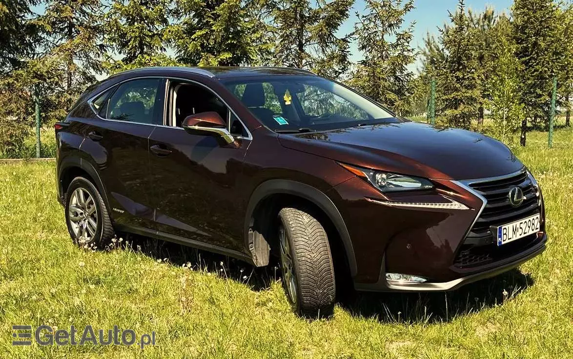 LEXUS NX300H 