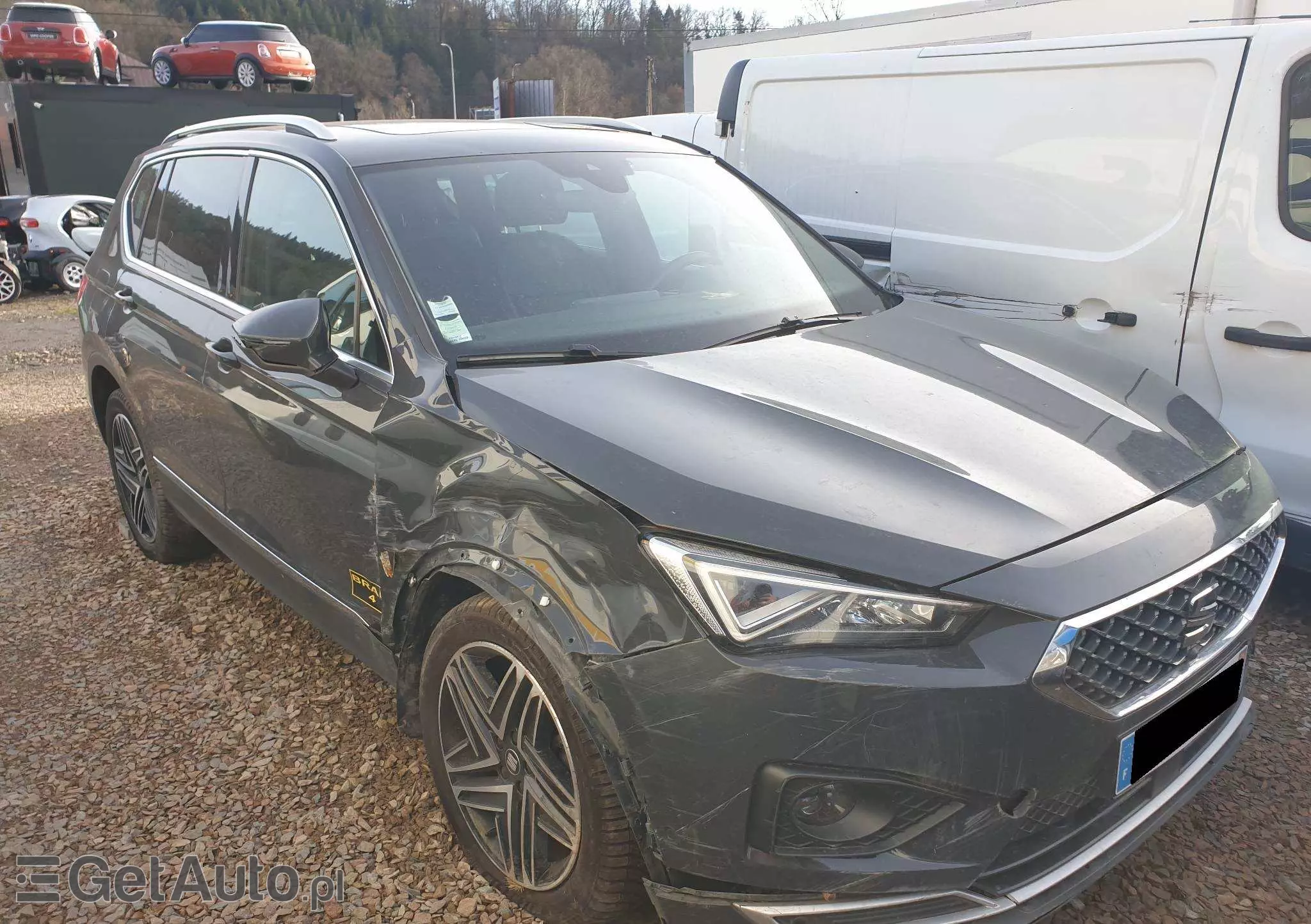 SEAT Tarraco Xcellence S&S 4Drive DSG