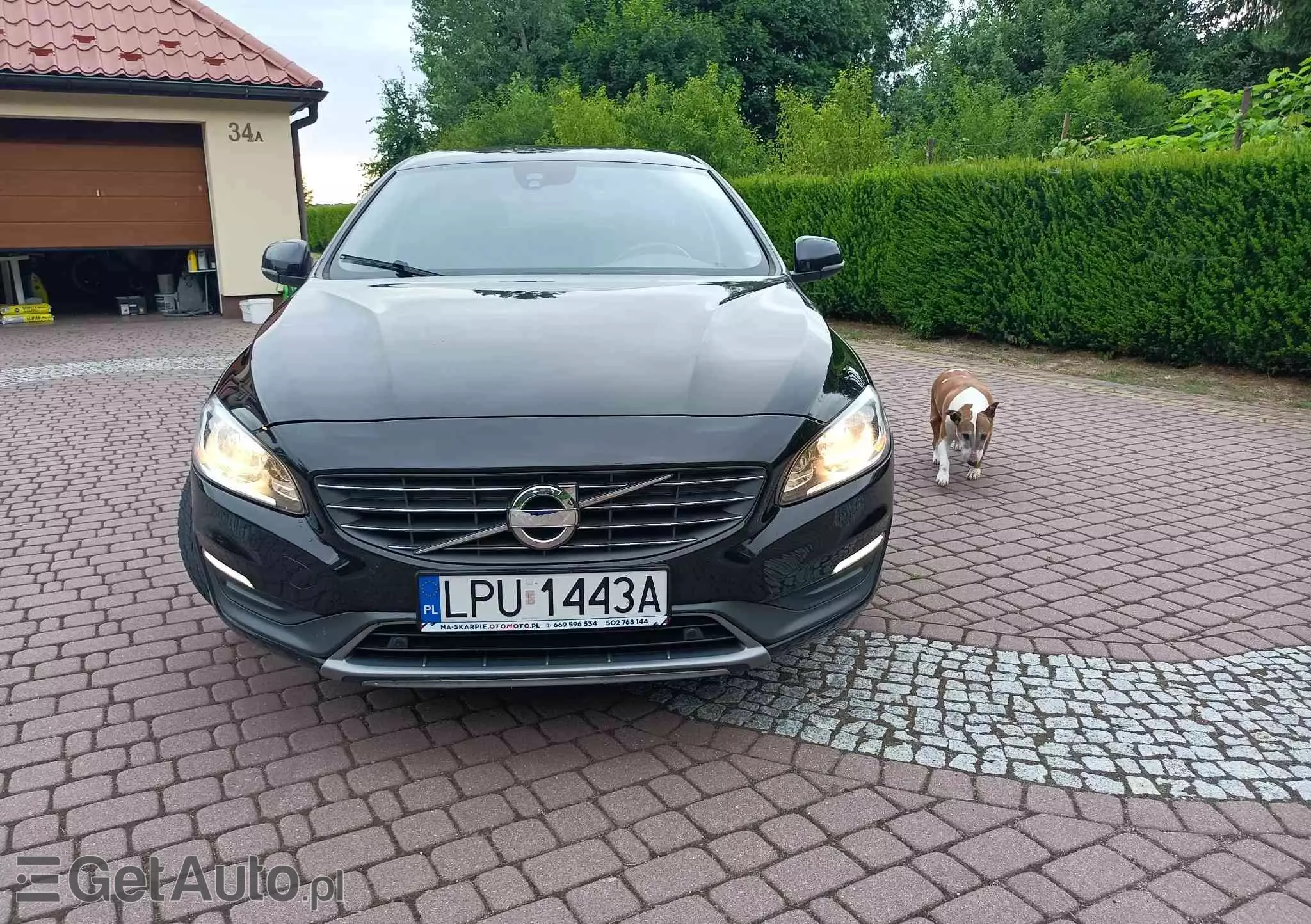 VOLVO V60 Momentum