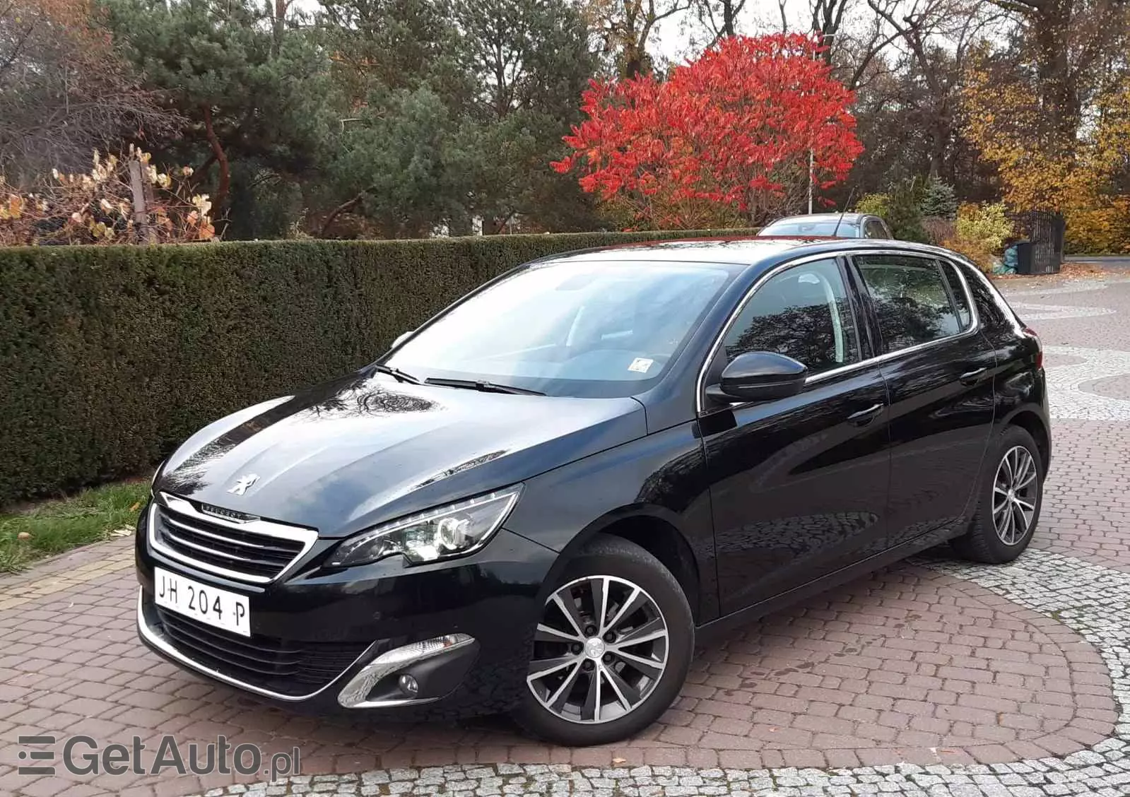 PEUGEOT 308  1.6 BlueHDi Business Line S&S