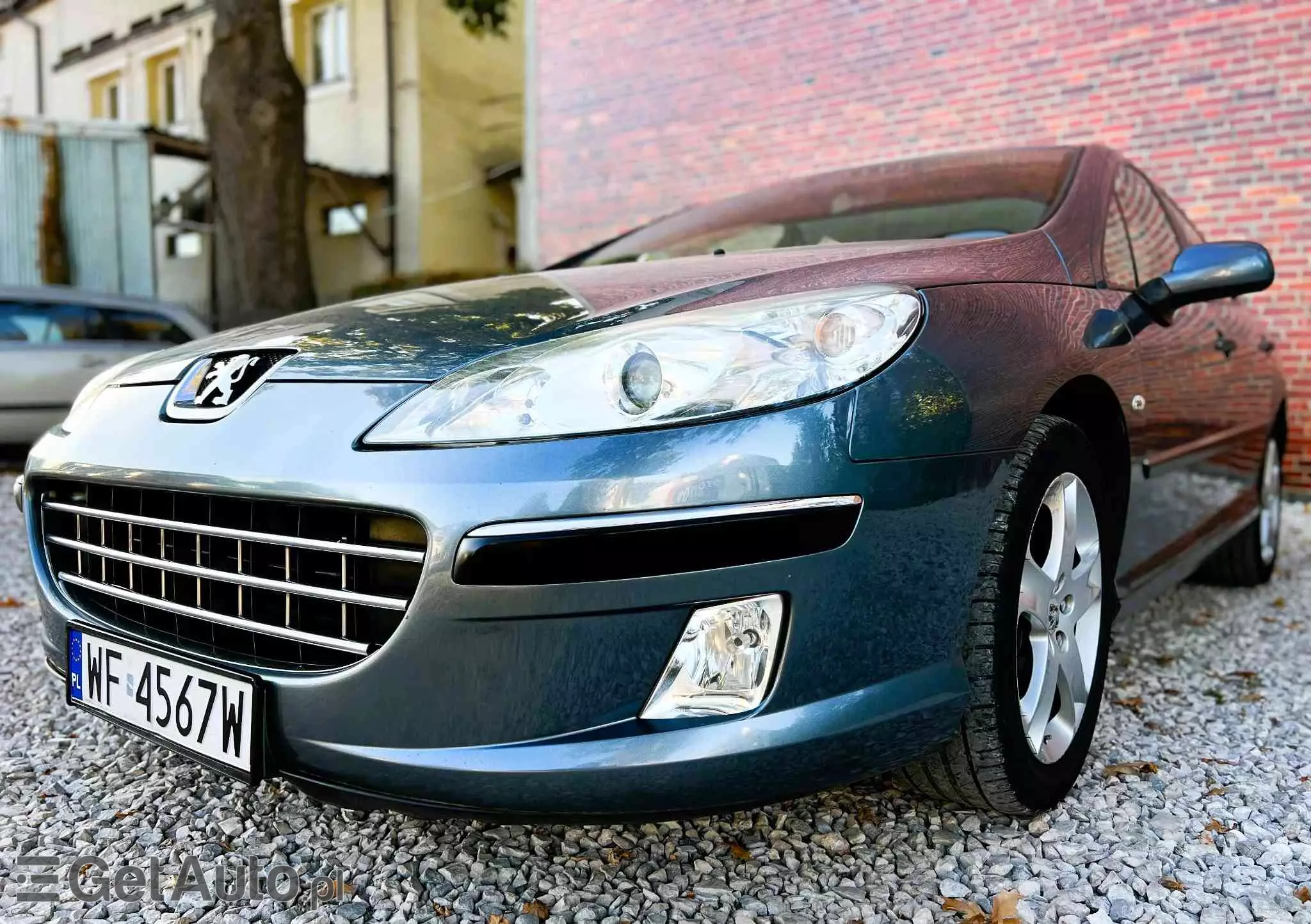 PEUGEOT 407 