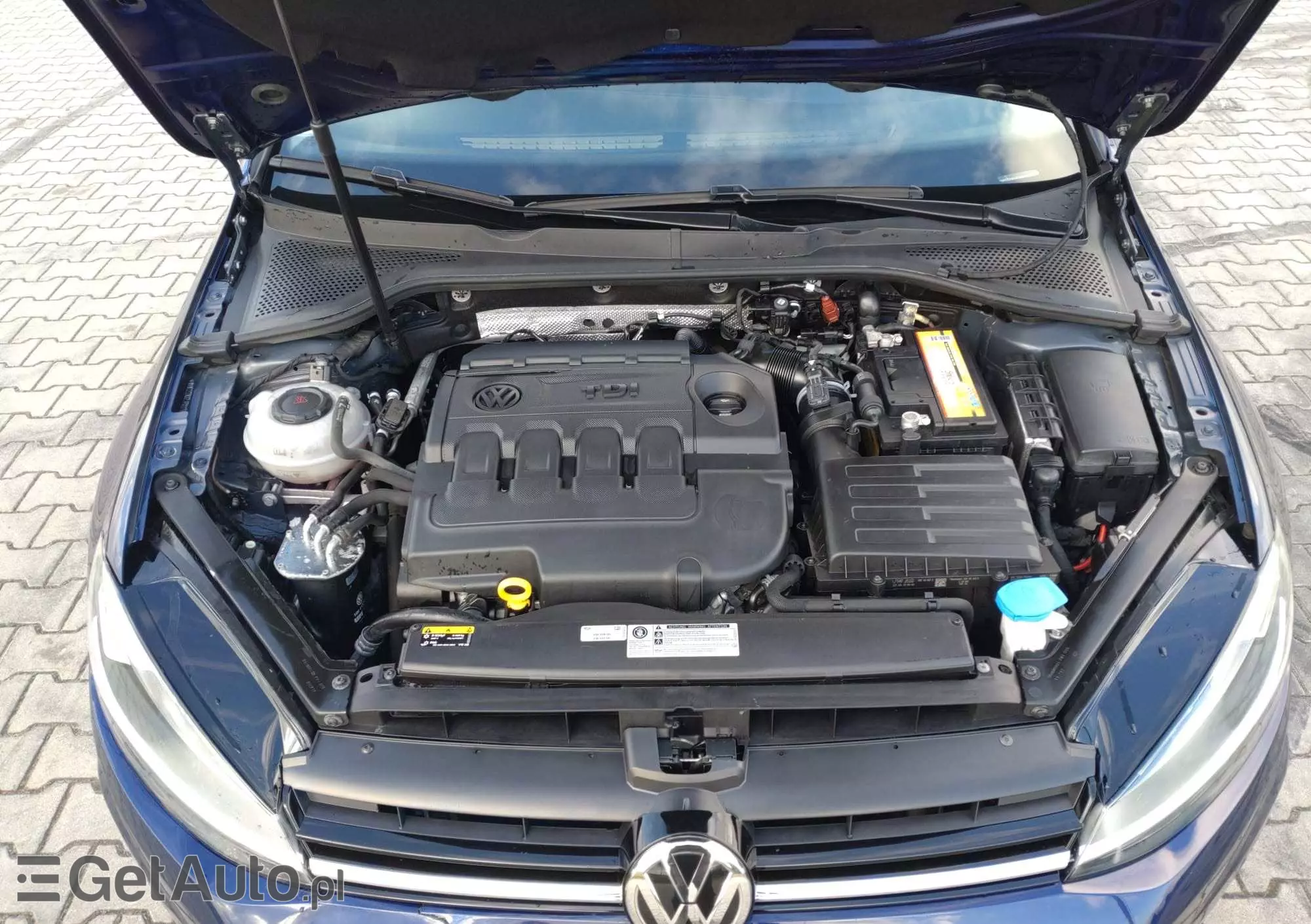 VOLKSWAGEN Golf  VII 1.6 TDI BMT Highline