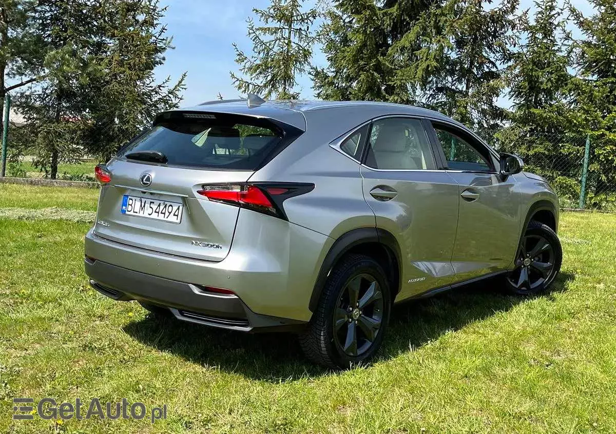 LEXUS NX 