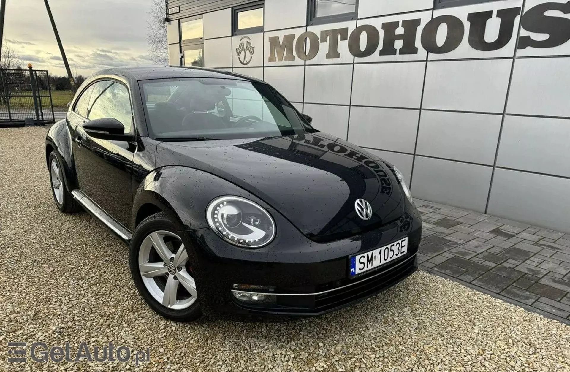 VOLKSWAGEN Beetle/New Beetle/Garbus 