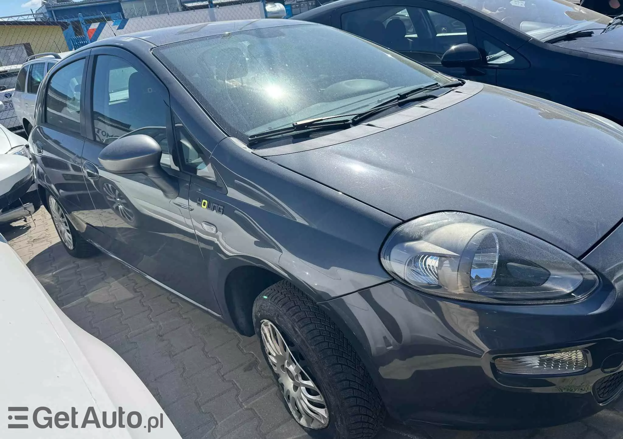 FIAT Punto 1.2 Young