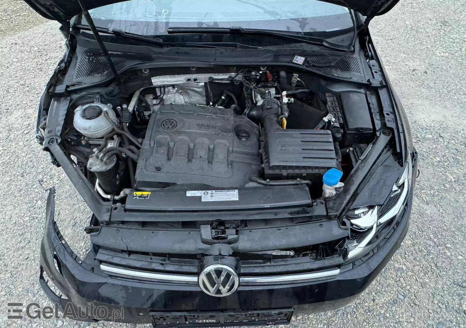 VOLKSWAGEN Golf 1.6 TDI SCR DSG Comfortline