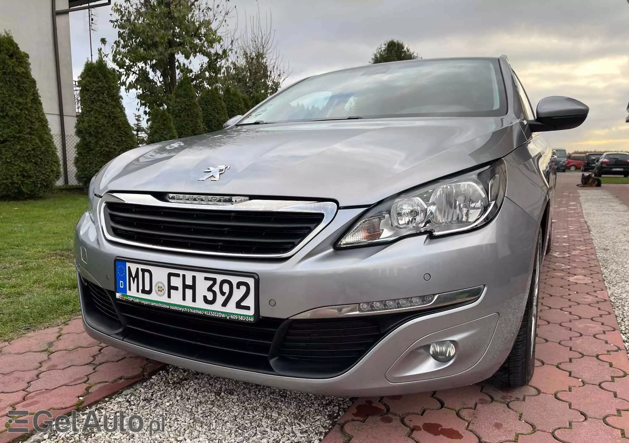 PEUGEOT 308 SW BlueHDi 120 EAT6 Stop & Start Business-Line