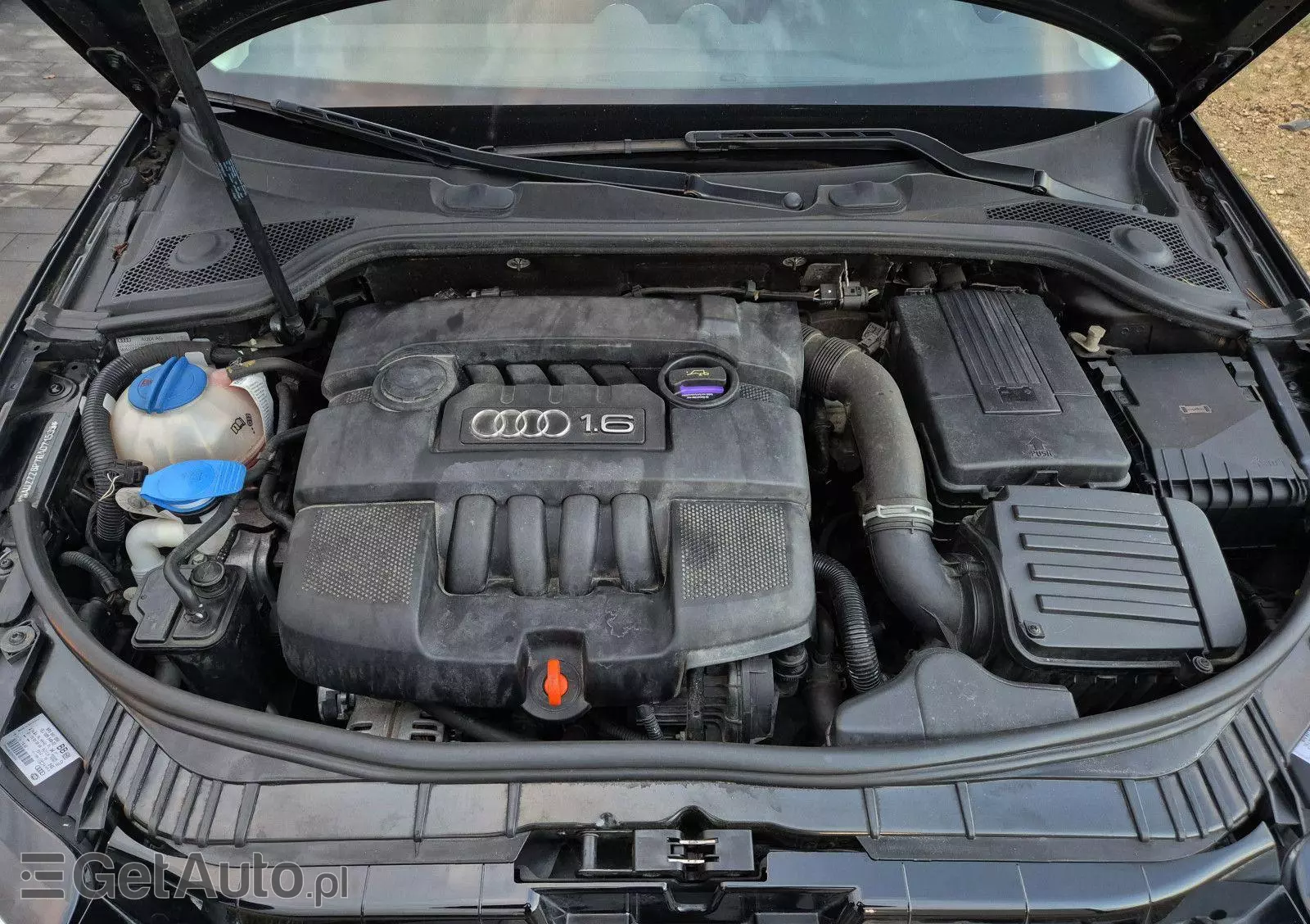 AUDI A3 1.6 Ambiente