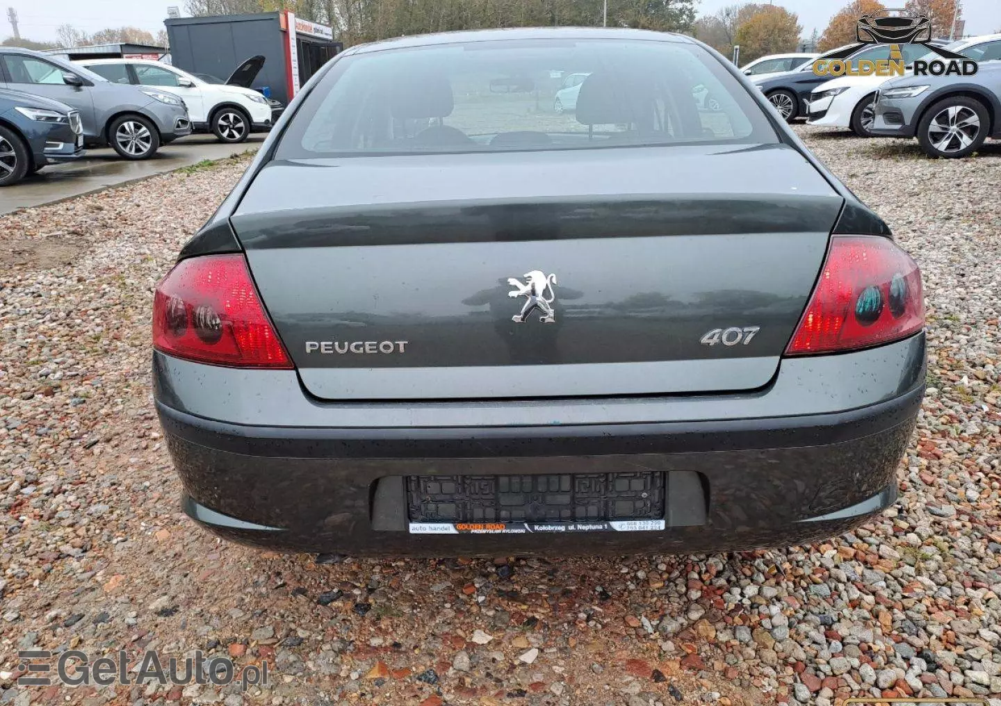 PEUGEOT 407 