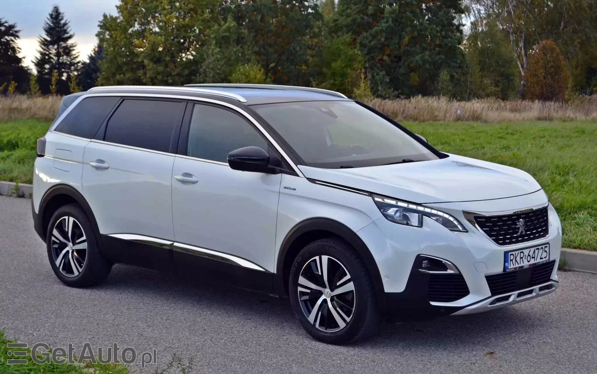 PEUGEOT 5008 