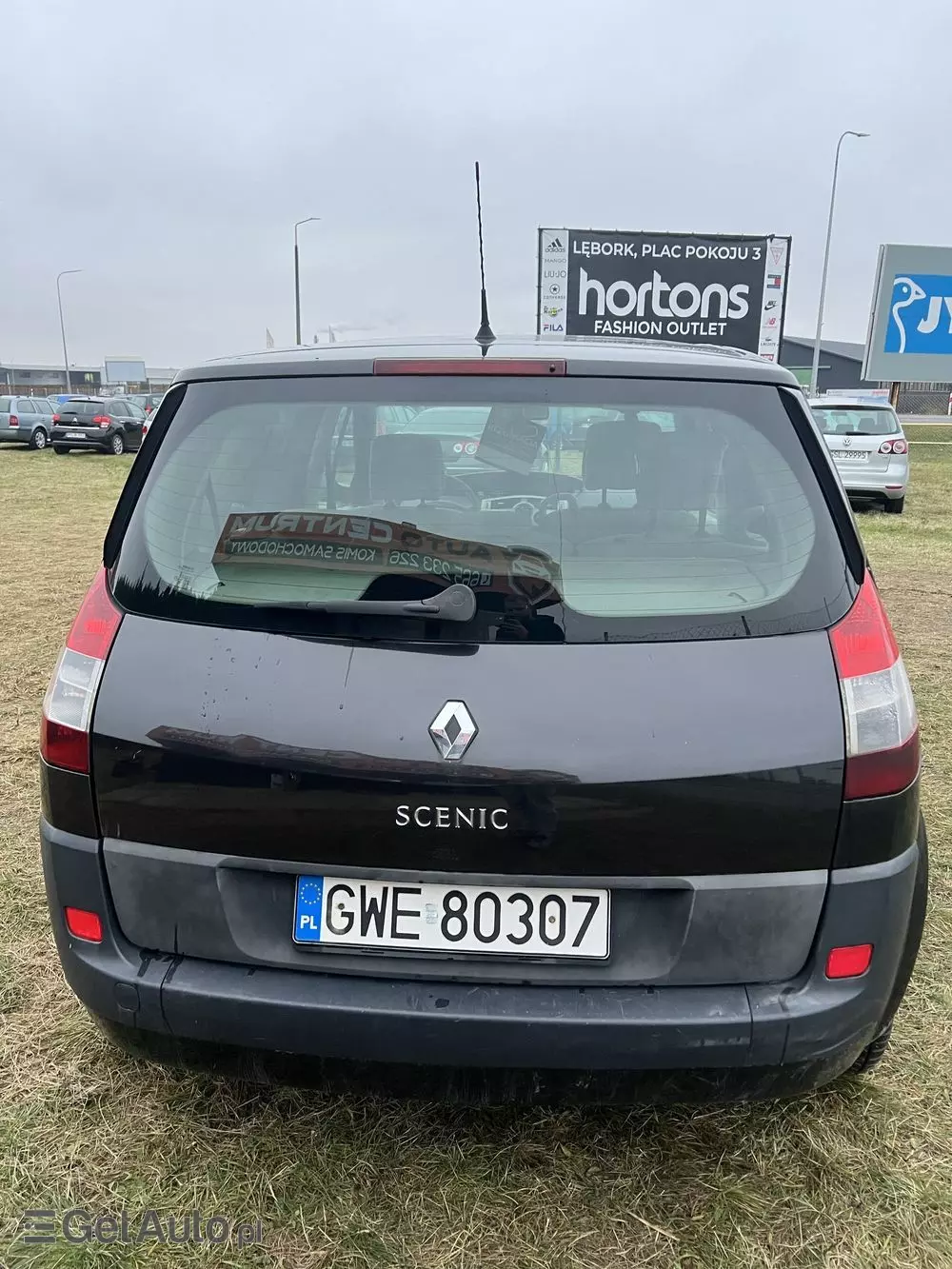 RENAULT Scenic 