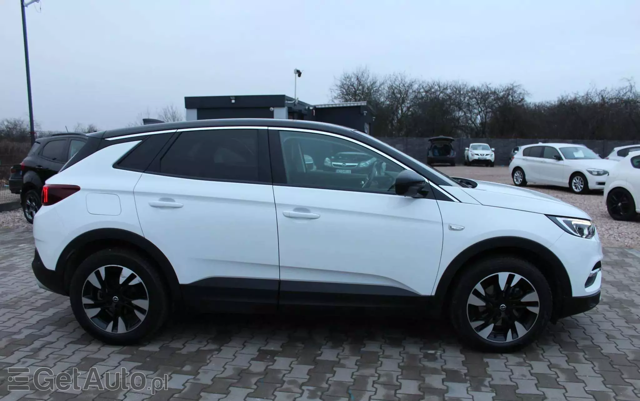 OPEL Grandland X 1.5 D Start/Stop Color Line