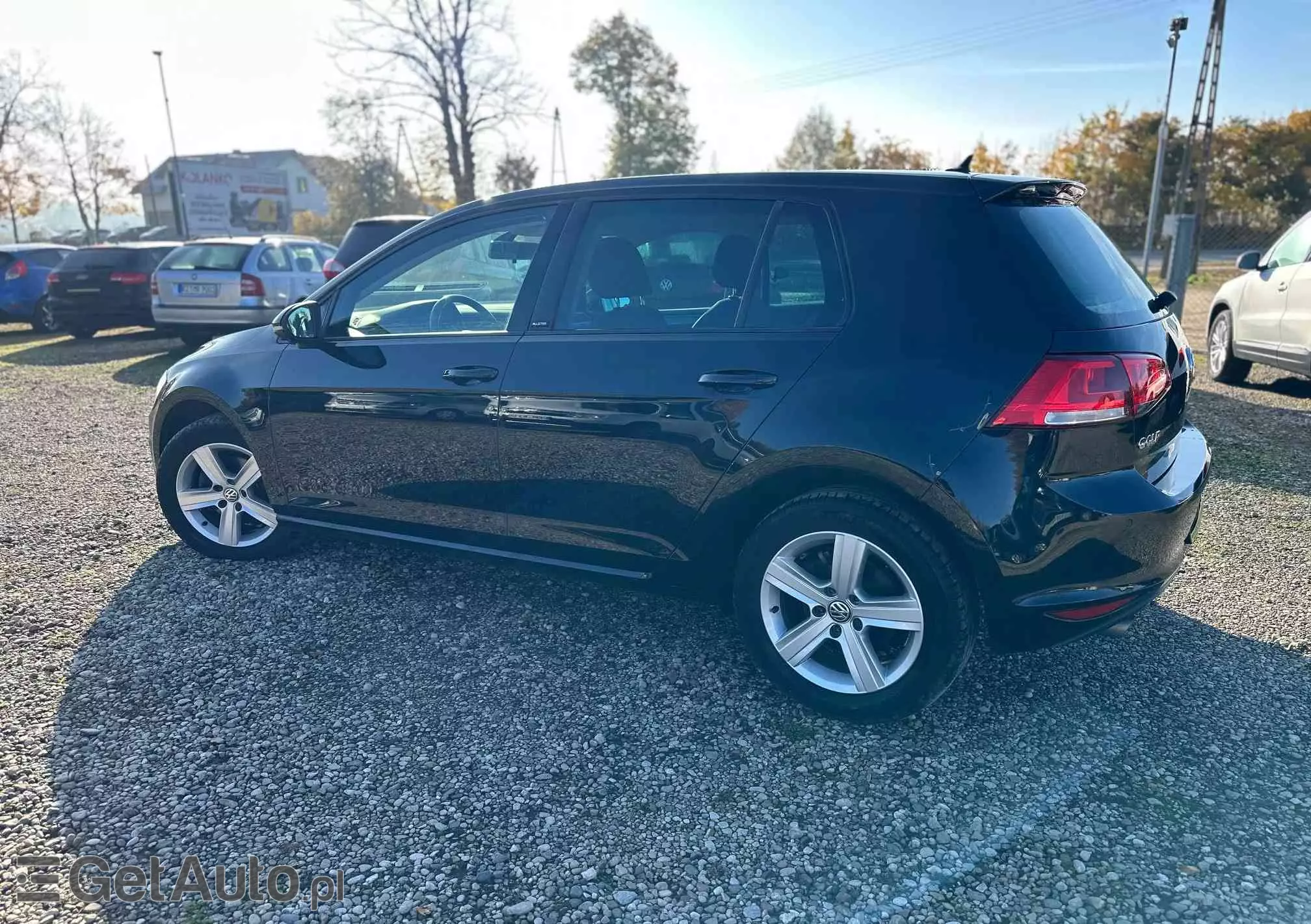 VOLKSWAGEN Golf 1.6 TDI BlueMotion Technology Allstar