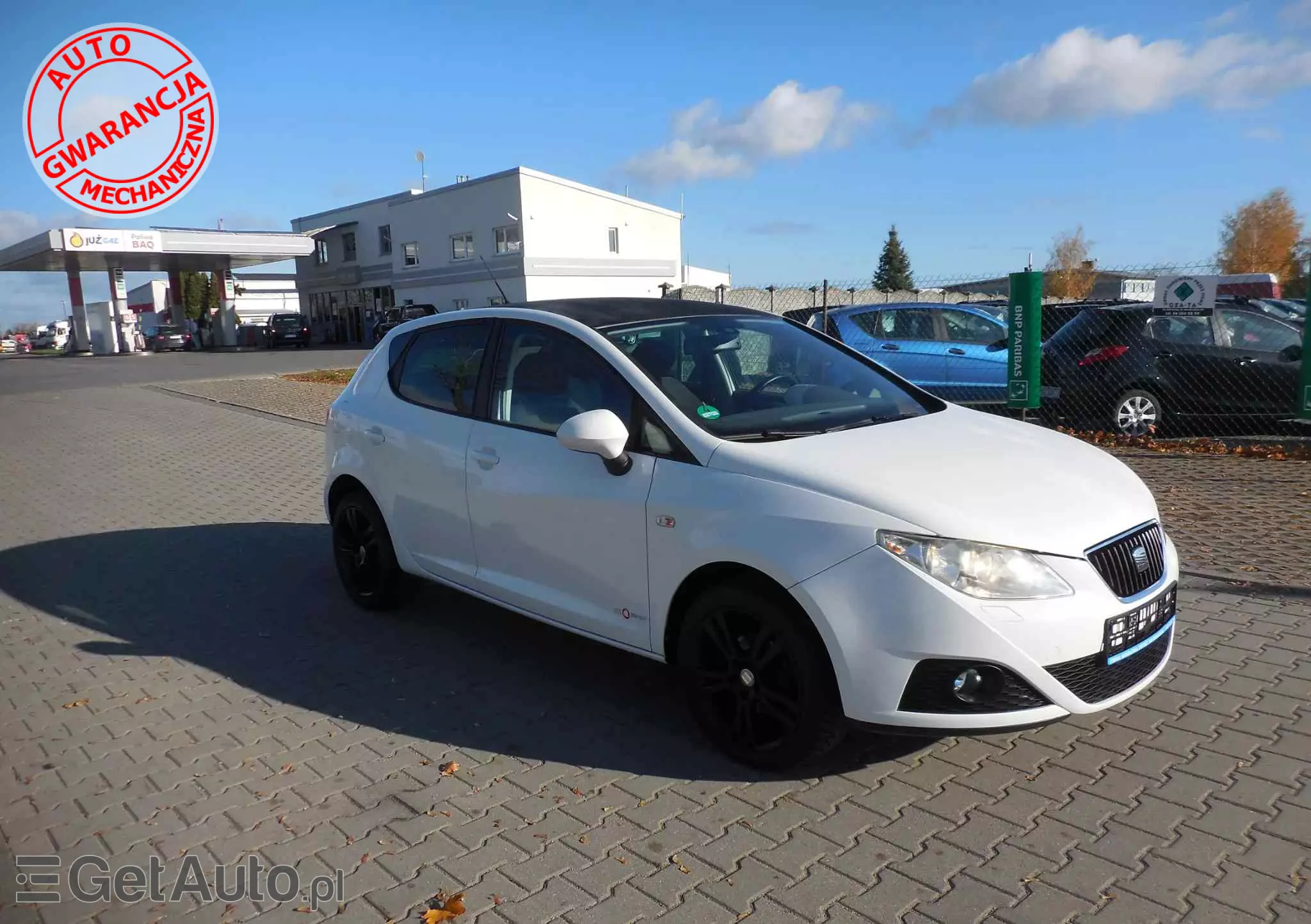 SEAT Ibiza 1.4 16V Copa