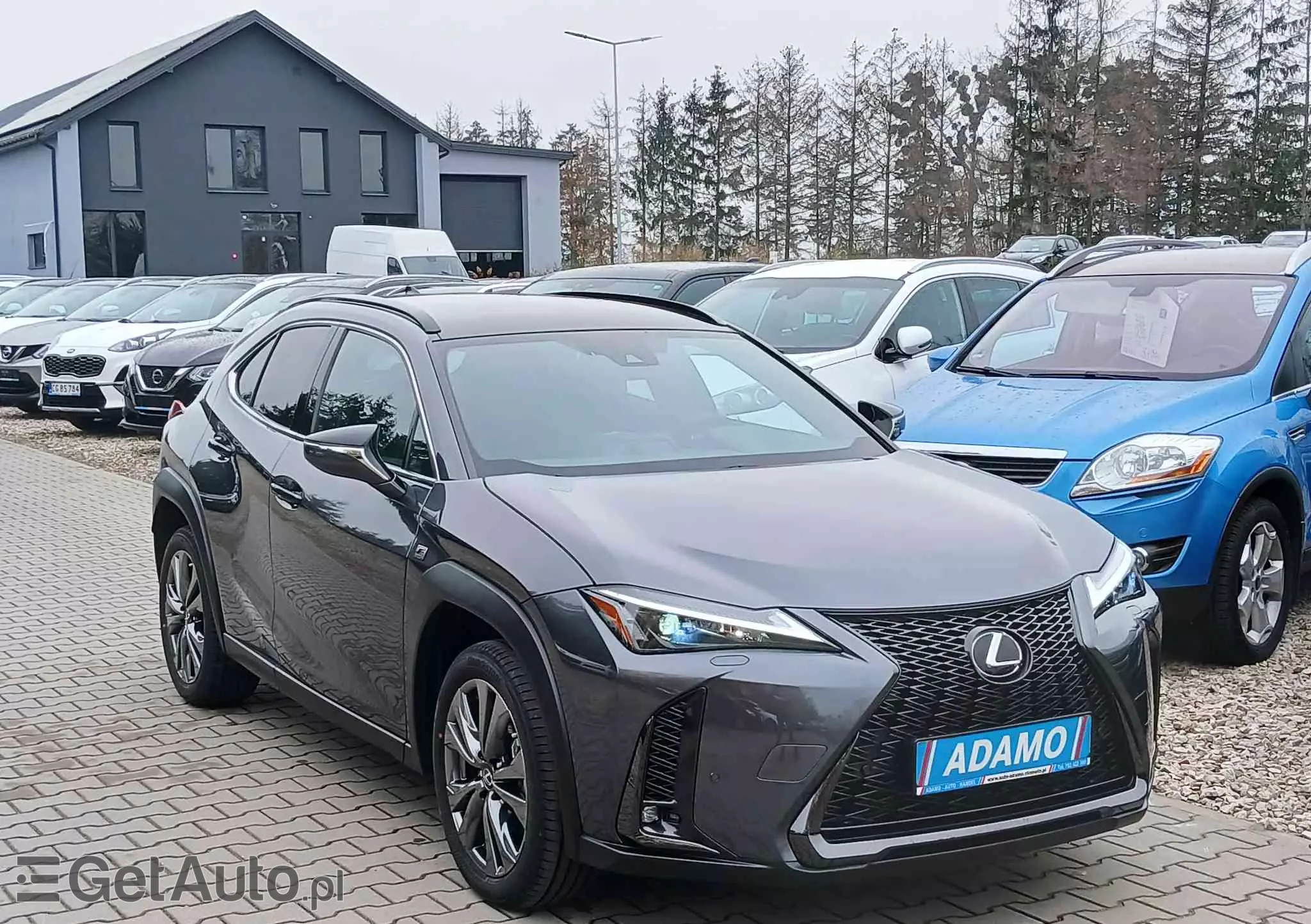 LEXUS UX 250h F SPORT Design